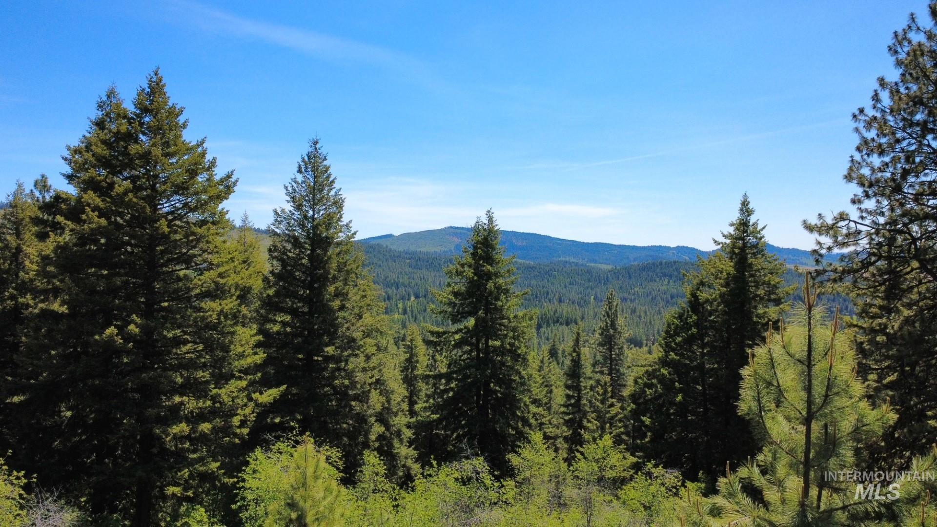 Tbd Smokey Bear Ln Property Photo 37