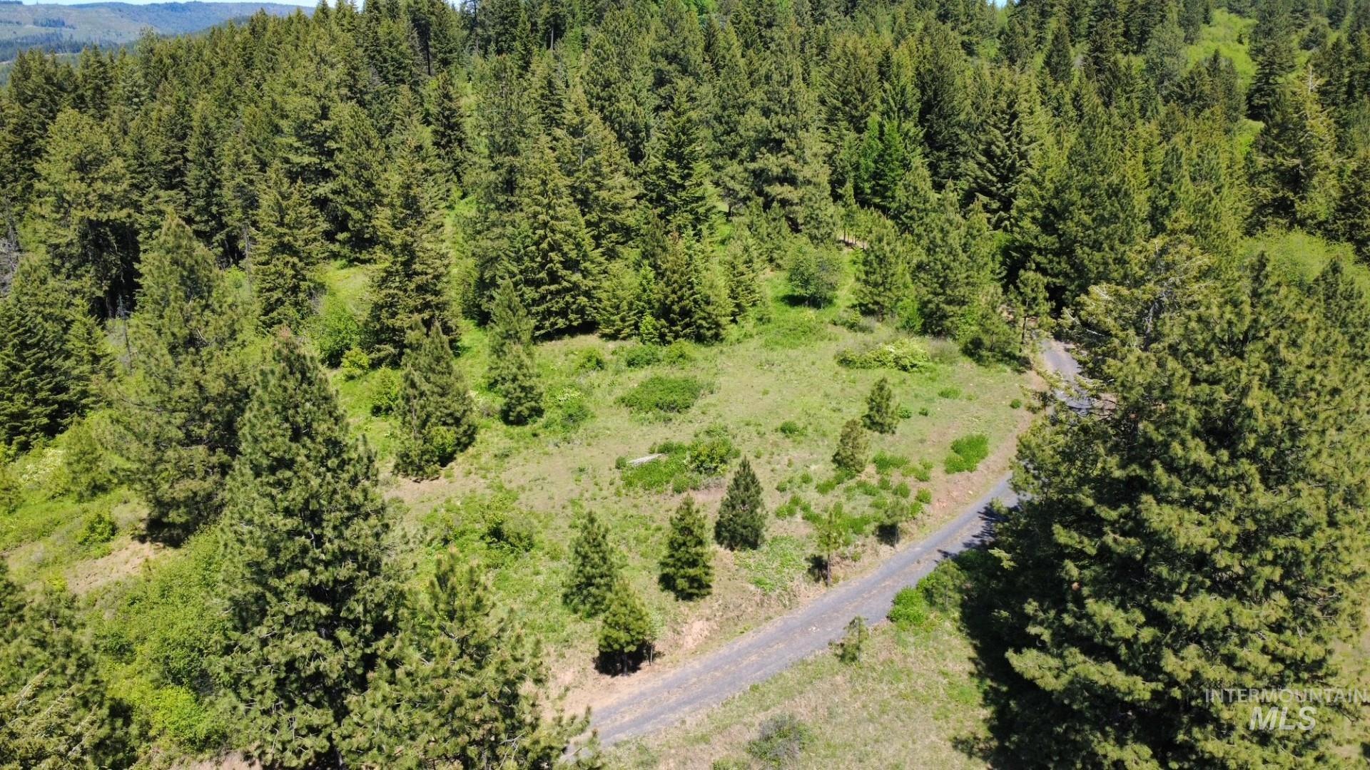 Tbd Smokey Bear Ln Property Photo 38
