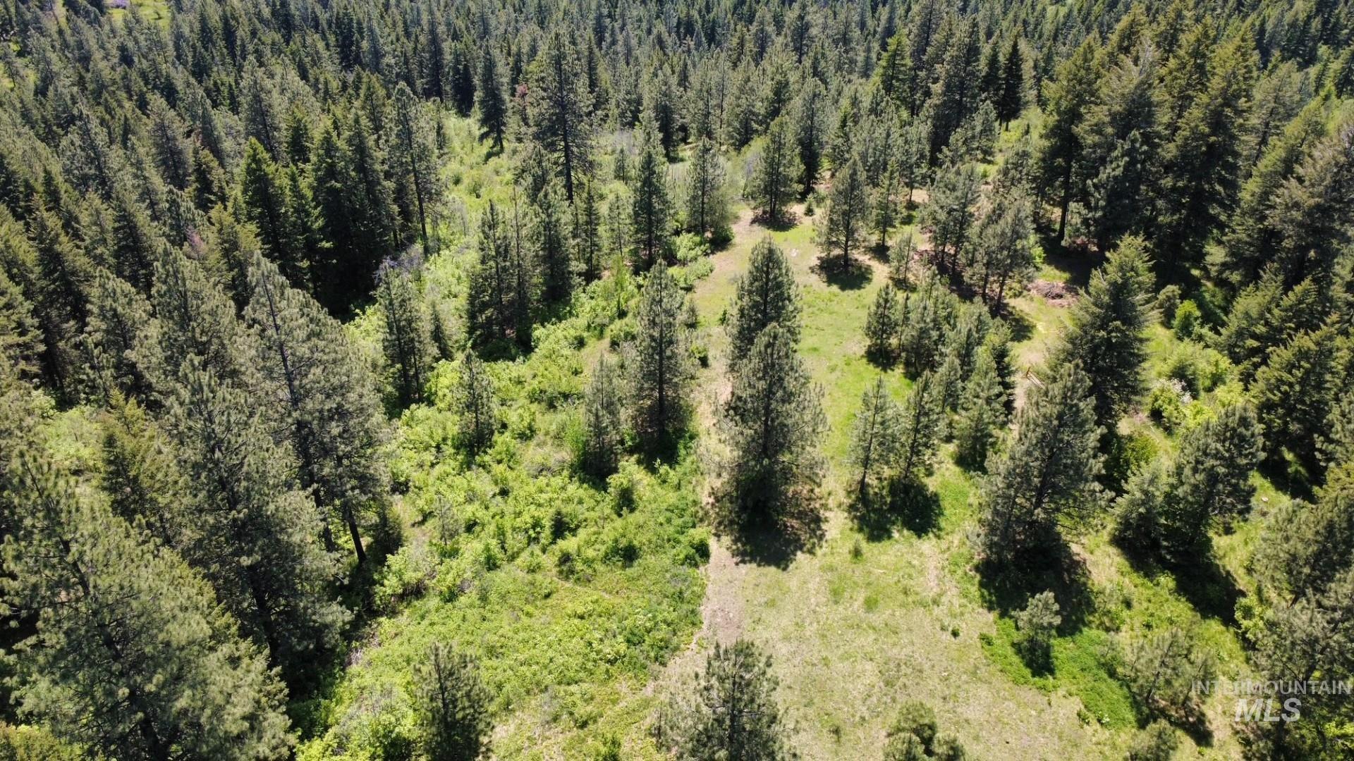 Tbd Smokey Bear Ln Property Photo 40