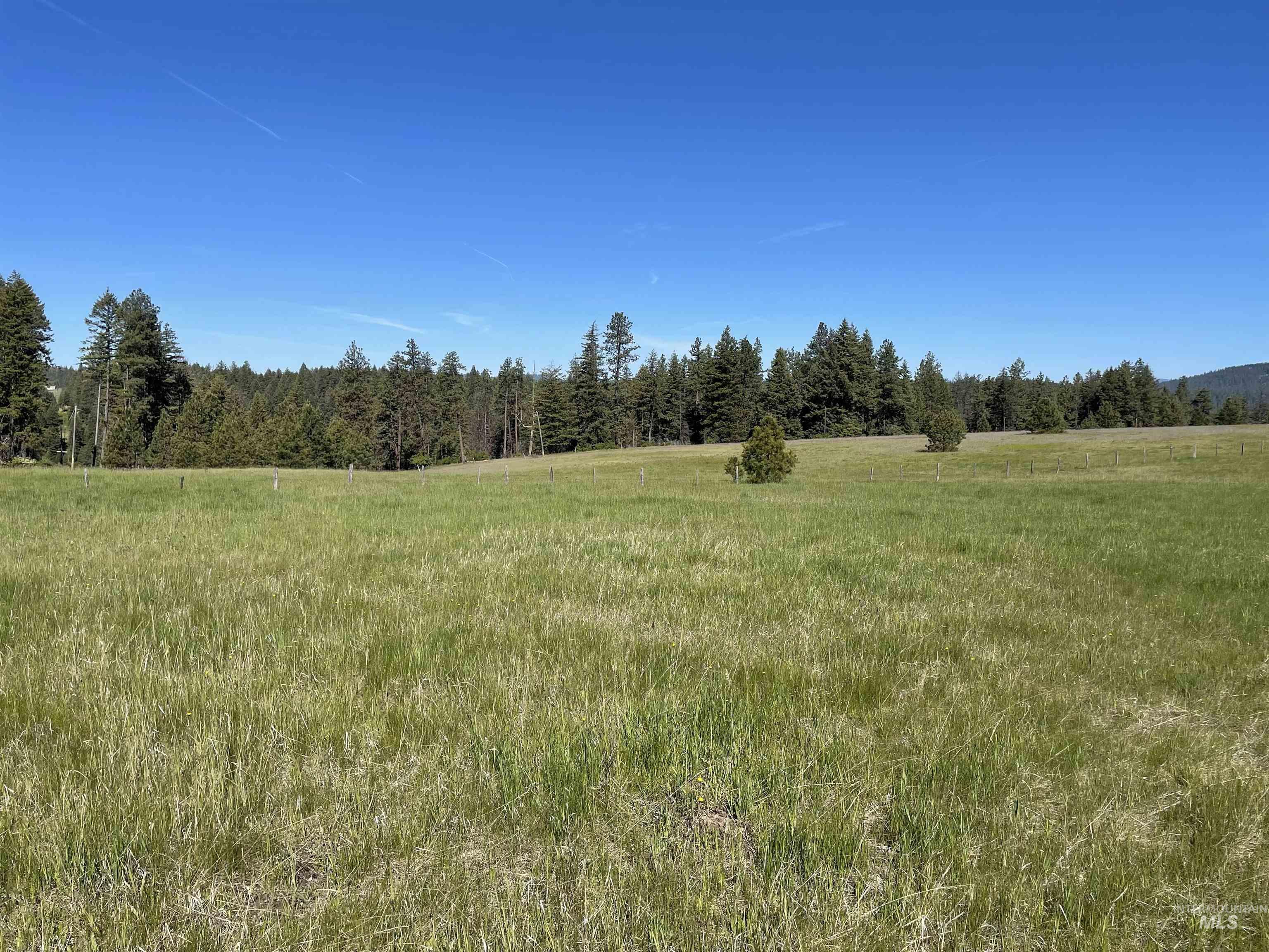 000 Bill Morris Rd Property Photo 19