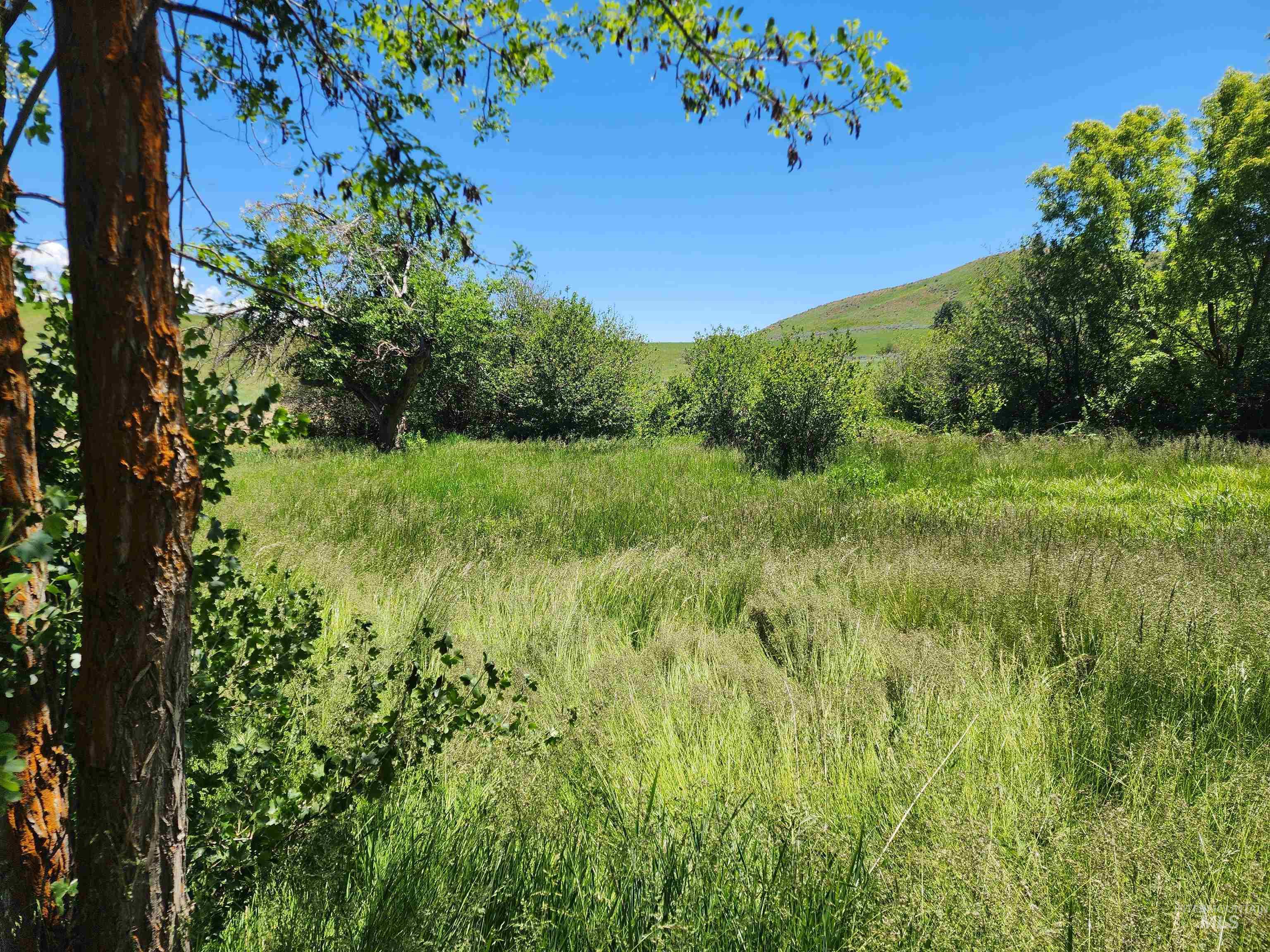 Tbd Crank Creek Property Photo 15