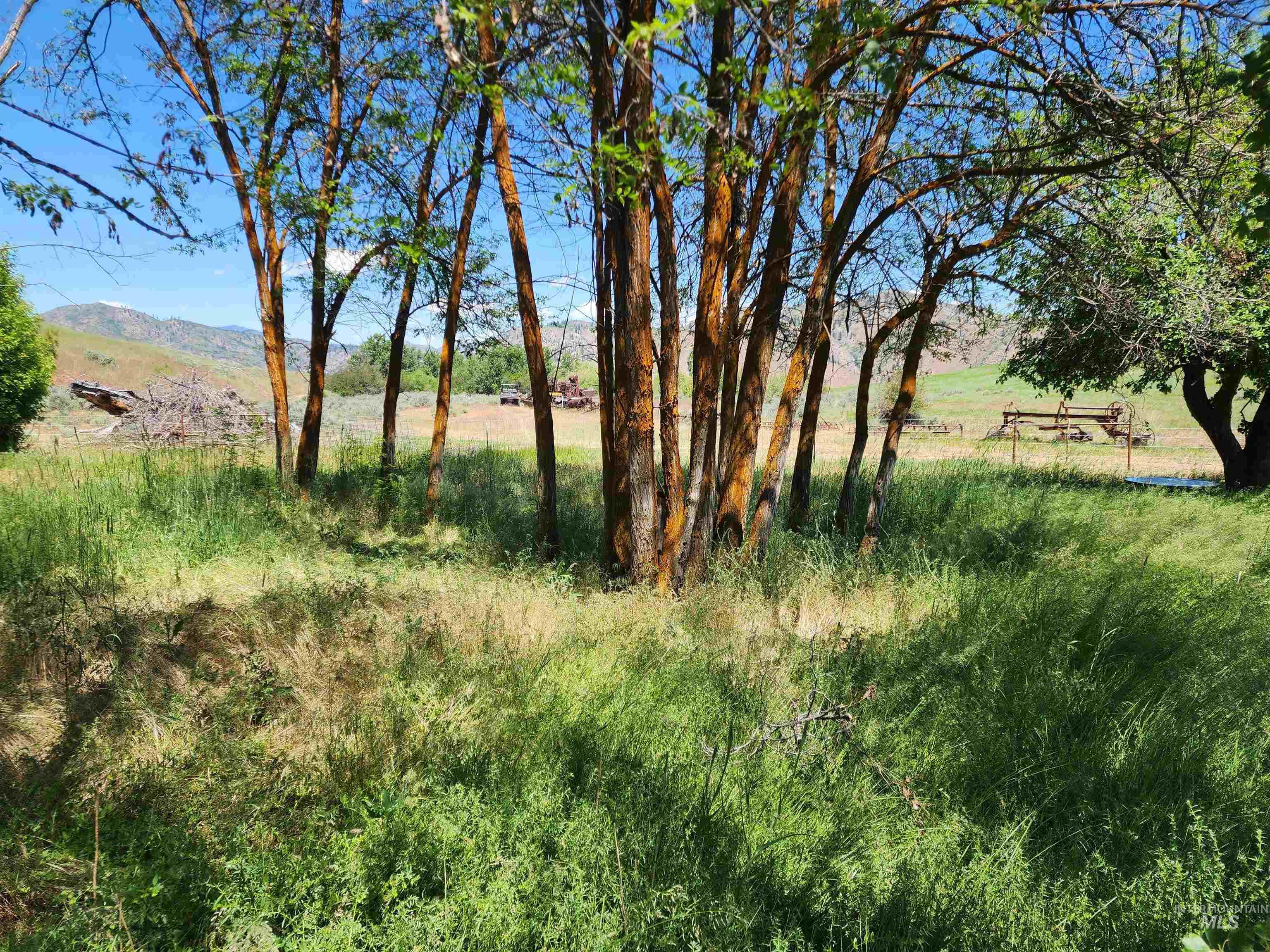 Tbd Crank Creek Property Photo 16