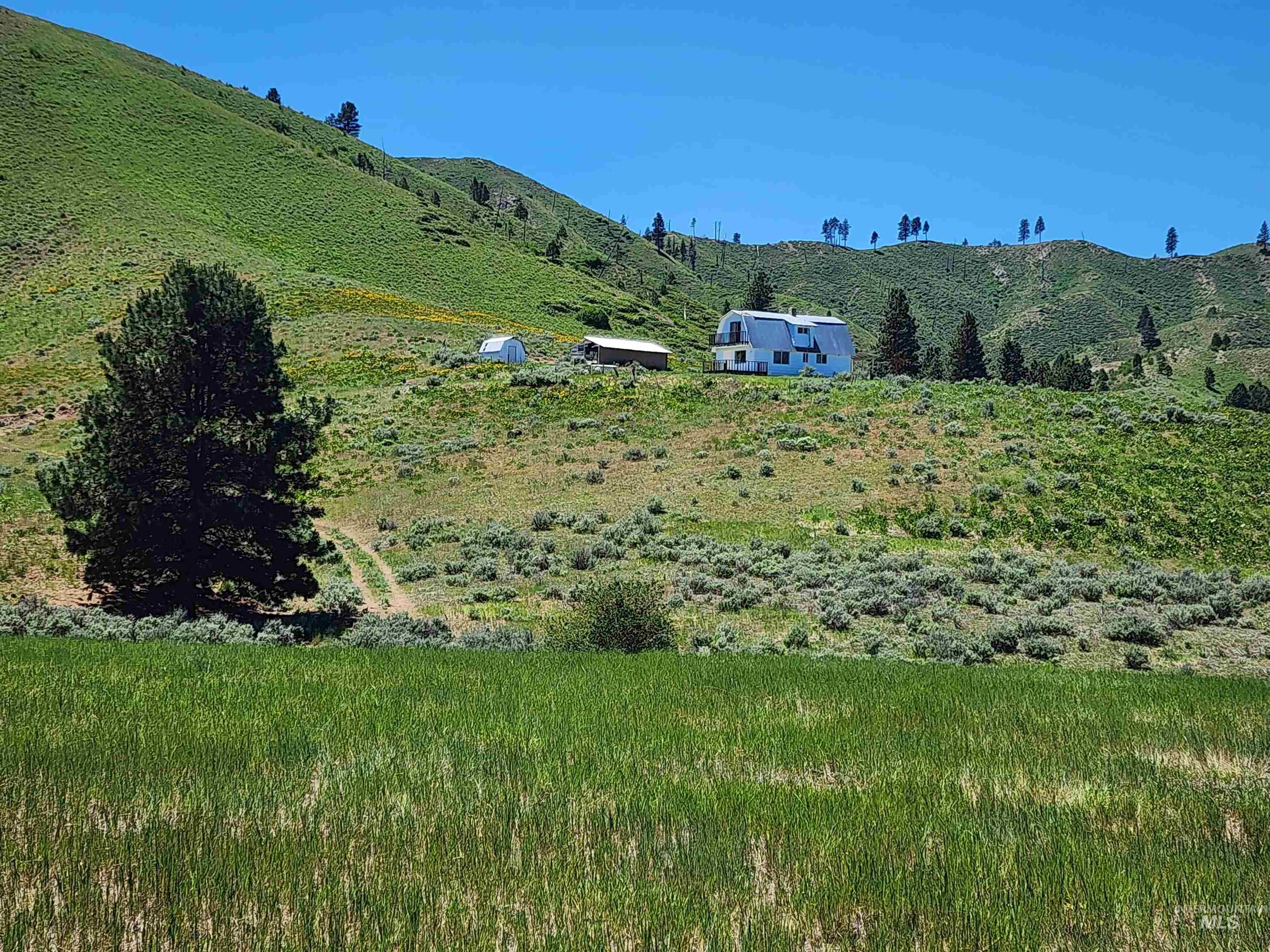 Tbd Crank Creek Property Photo 19