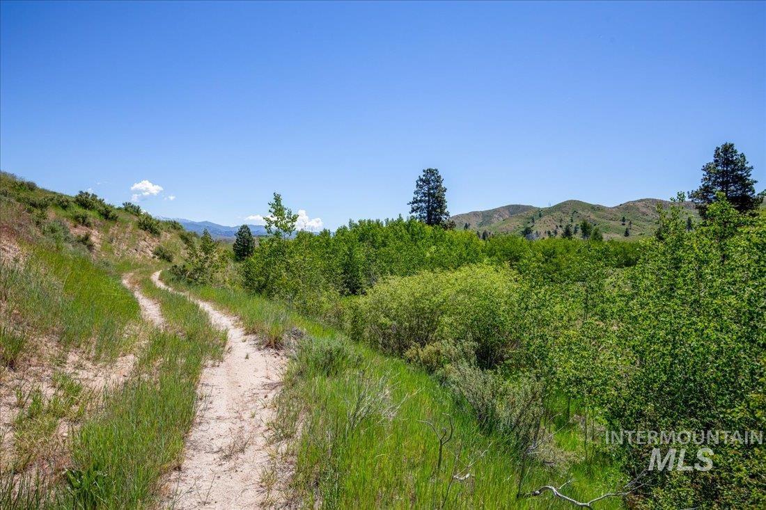 Tbd Crank Creek Property Photo 22