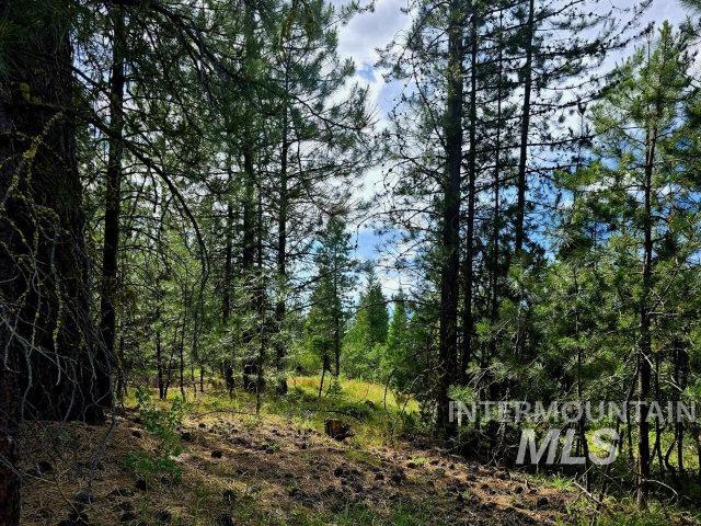 Lot 19 Saddle Rock Subdivision Property Photo 3