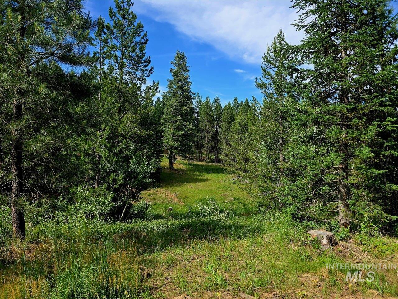 Lot 19 Saddle Rock Subdivision Property Photo 8