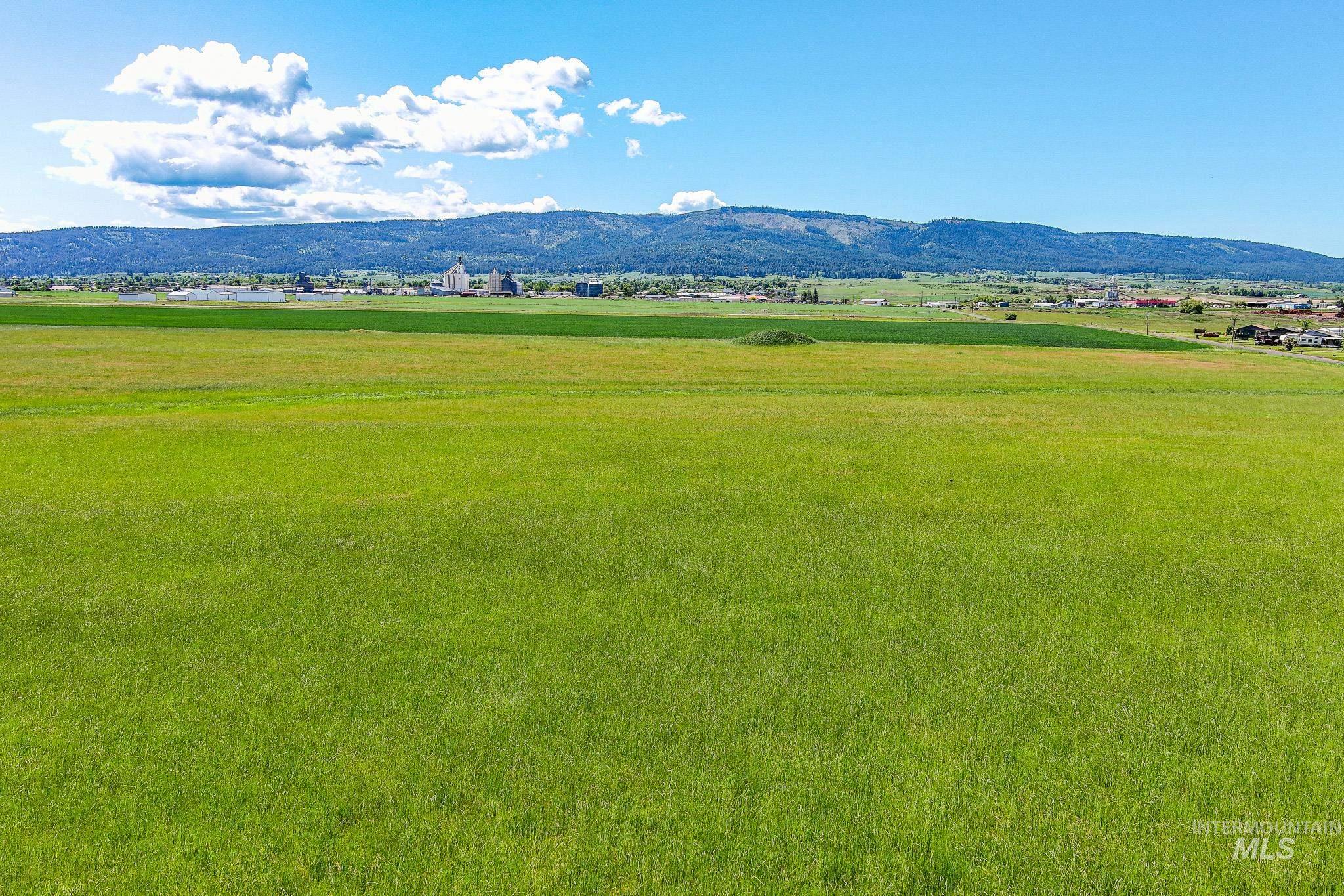 110 Meadow Grass Loop Property Photo 1