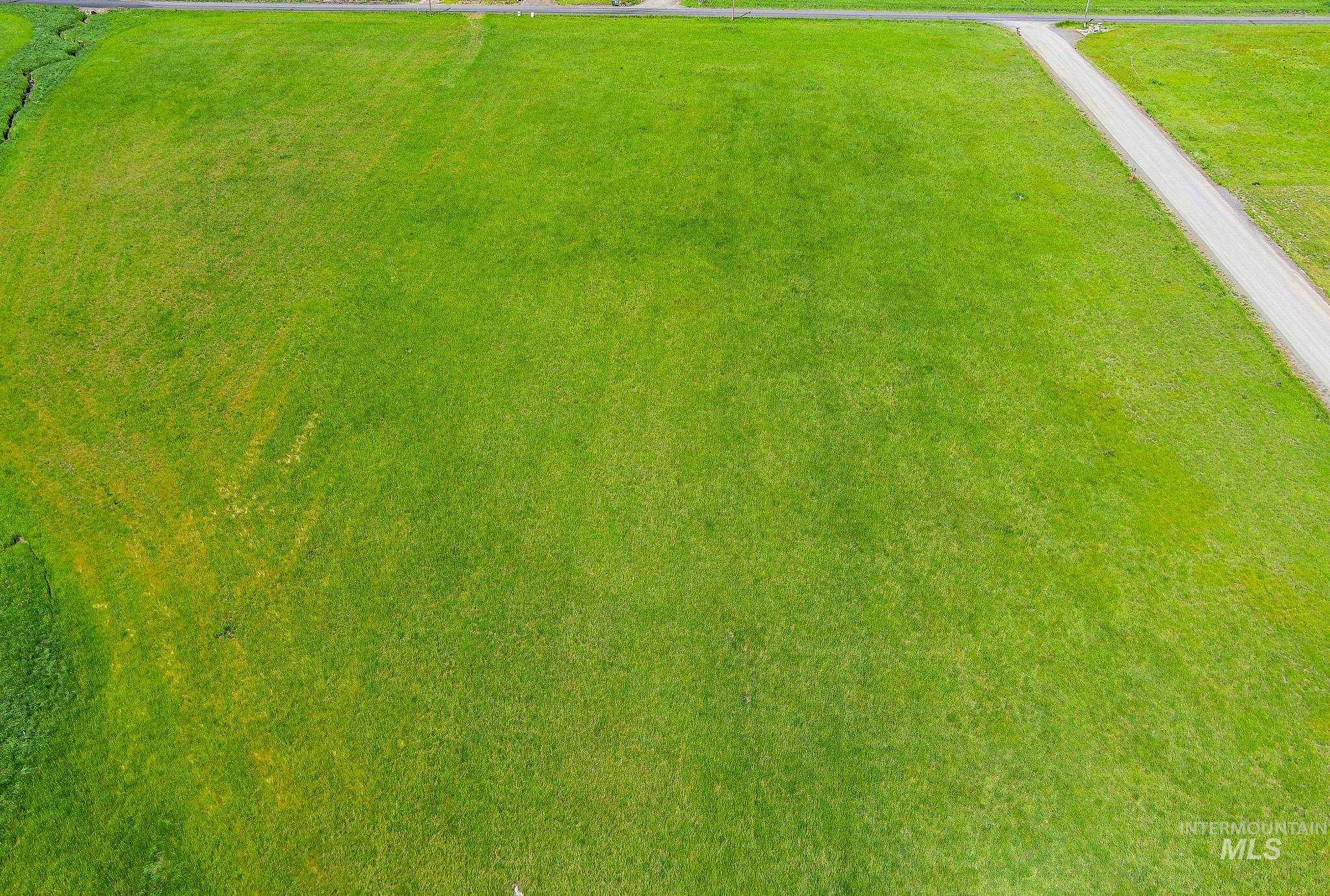 110 Meadow Grass Loop Property Photo 4