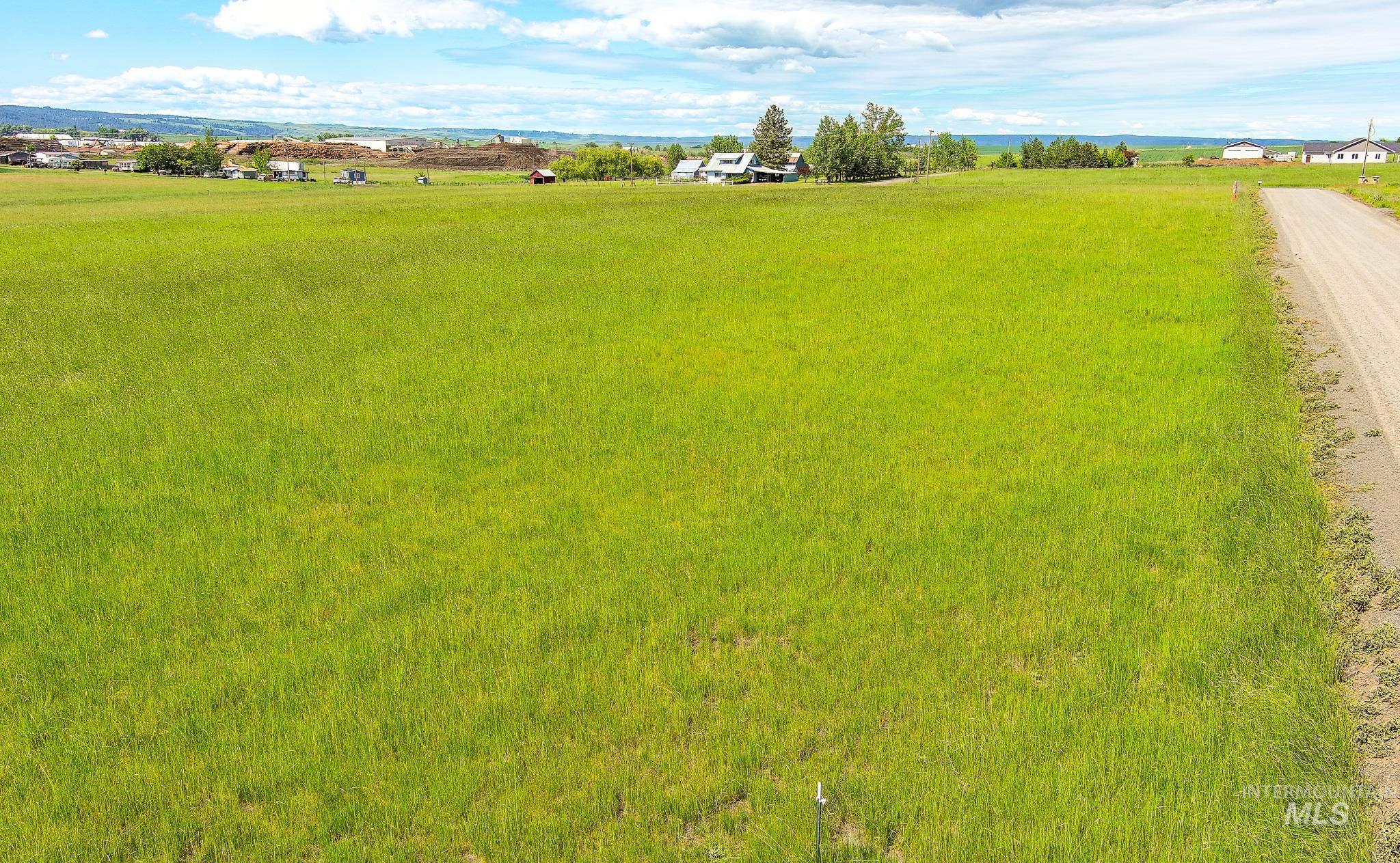110 Meadow Grass Loop Property Photo 5
