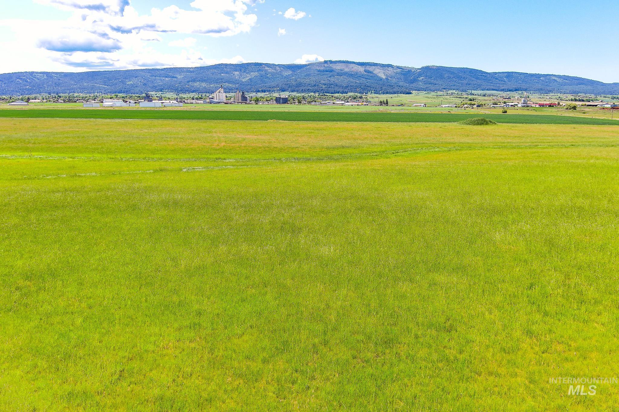 110 Meadow Grass Loop Property Photo 6