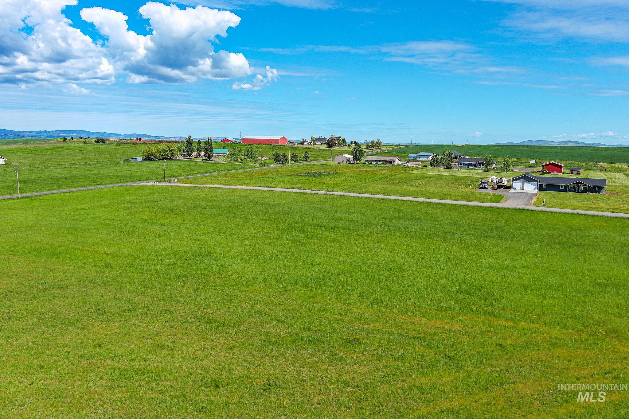 110 Meadow Grass Loop Property Photo 8
