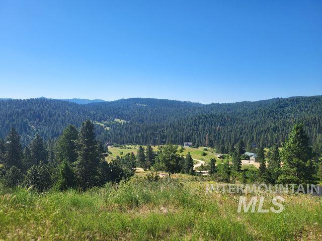 7 Ridgetop Place Property Photo 21
