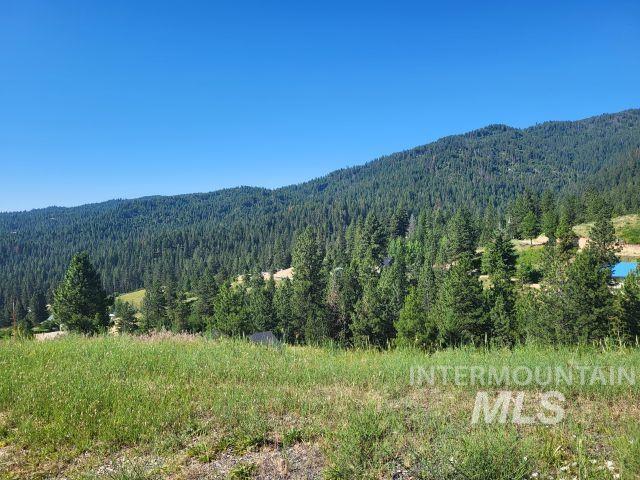 7 Ridgetop Place Property Photo 22