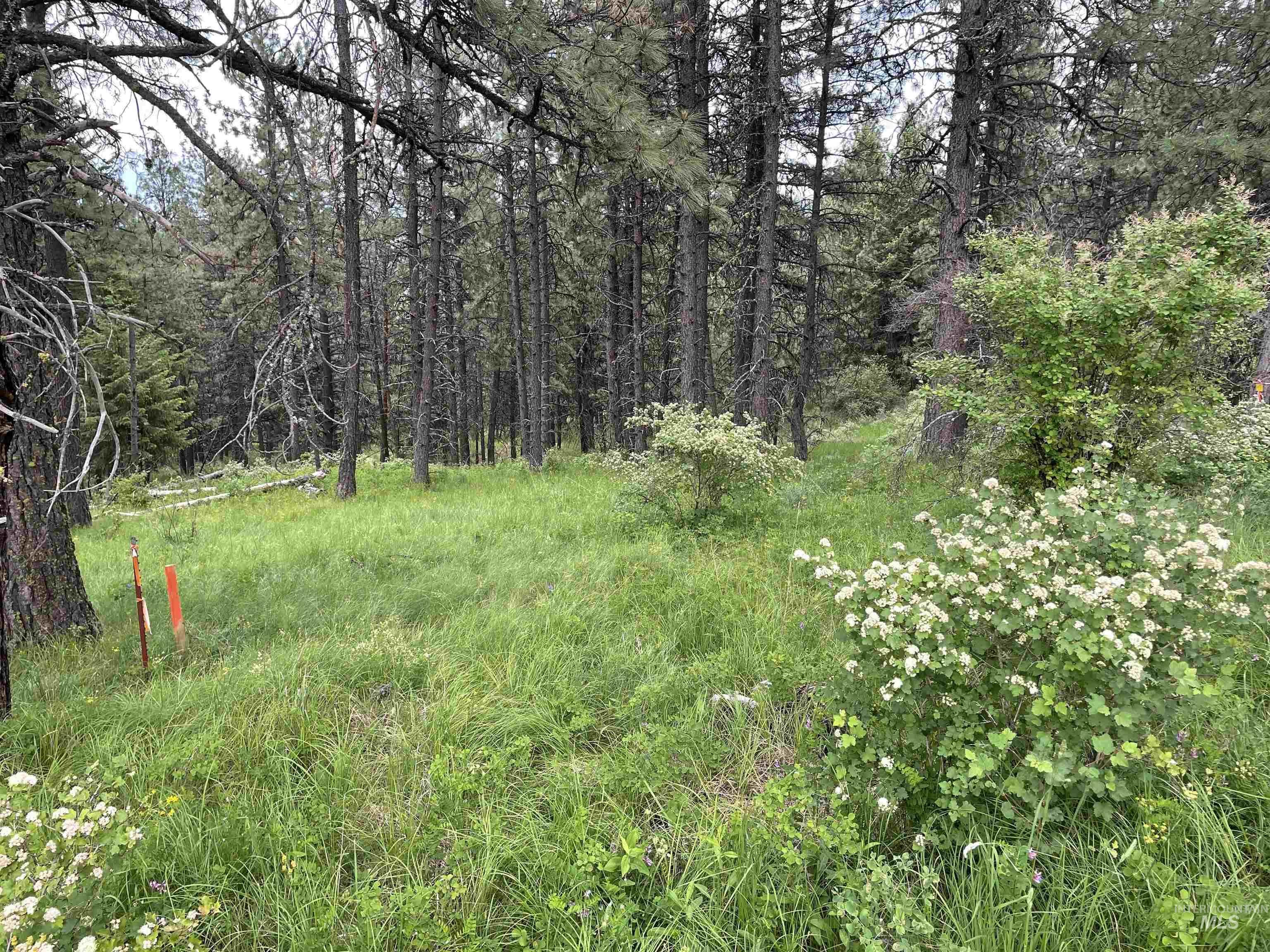 1221 Shady Lane Property Photo 3