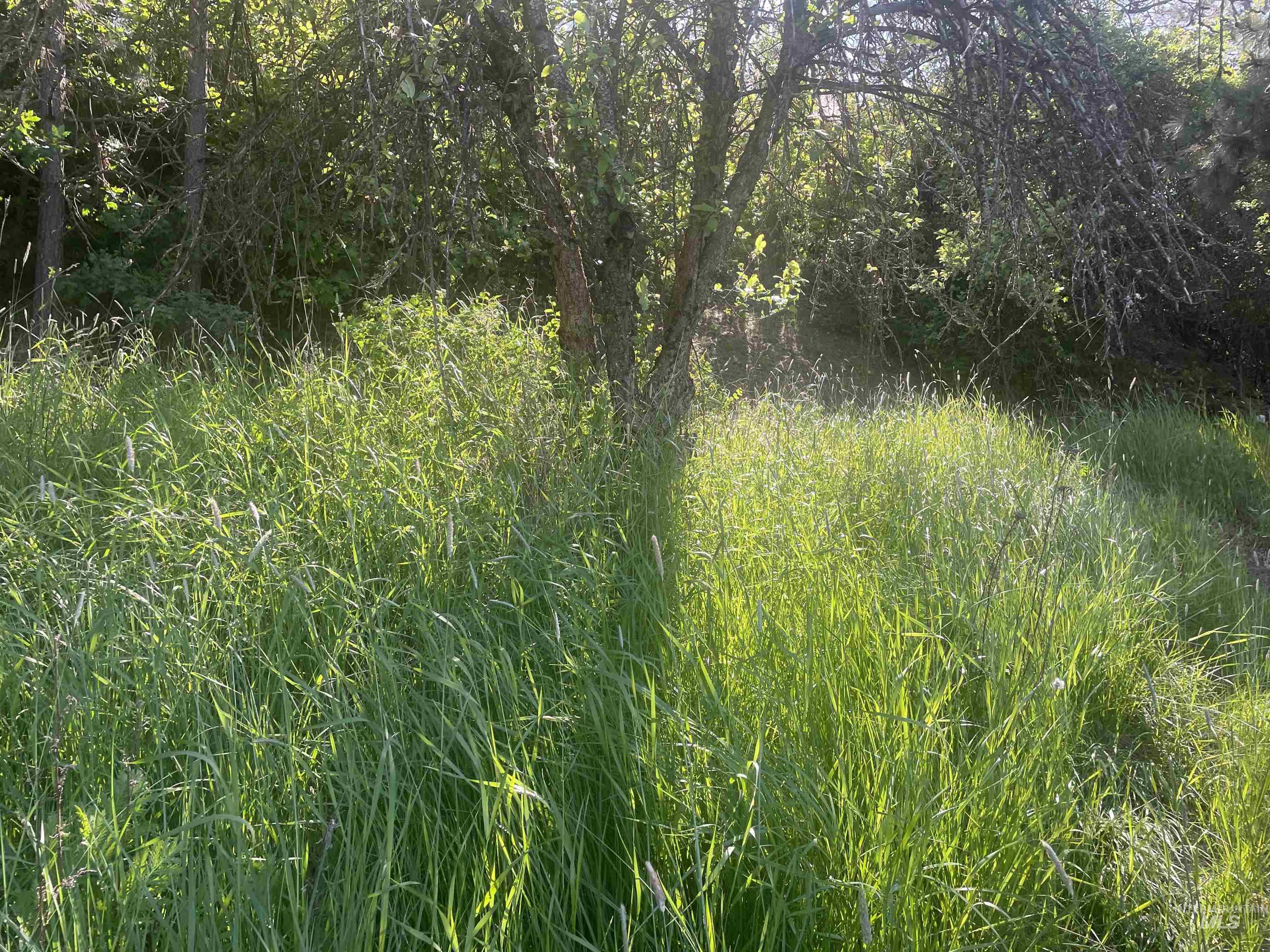 1221 Shady Lane Property Photo 4