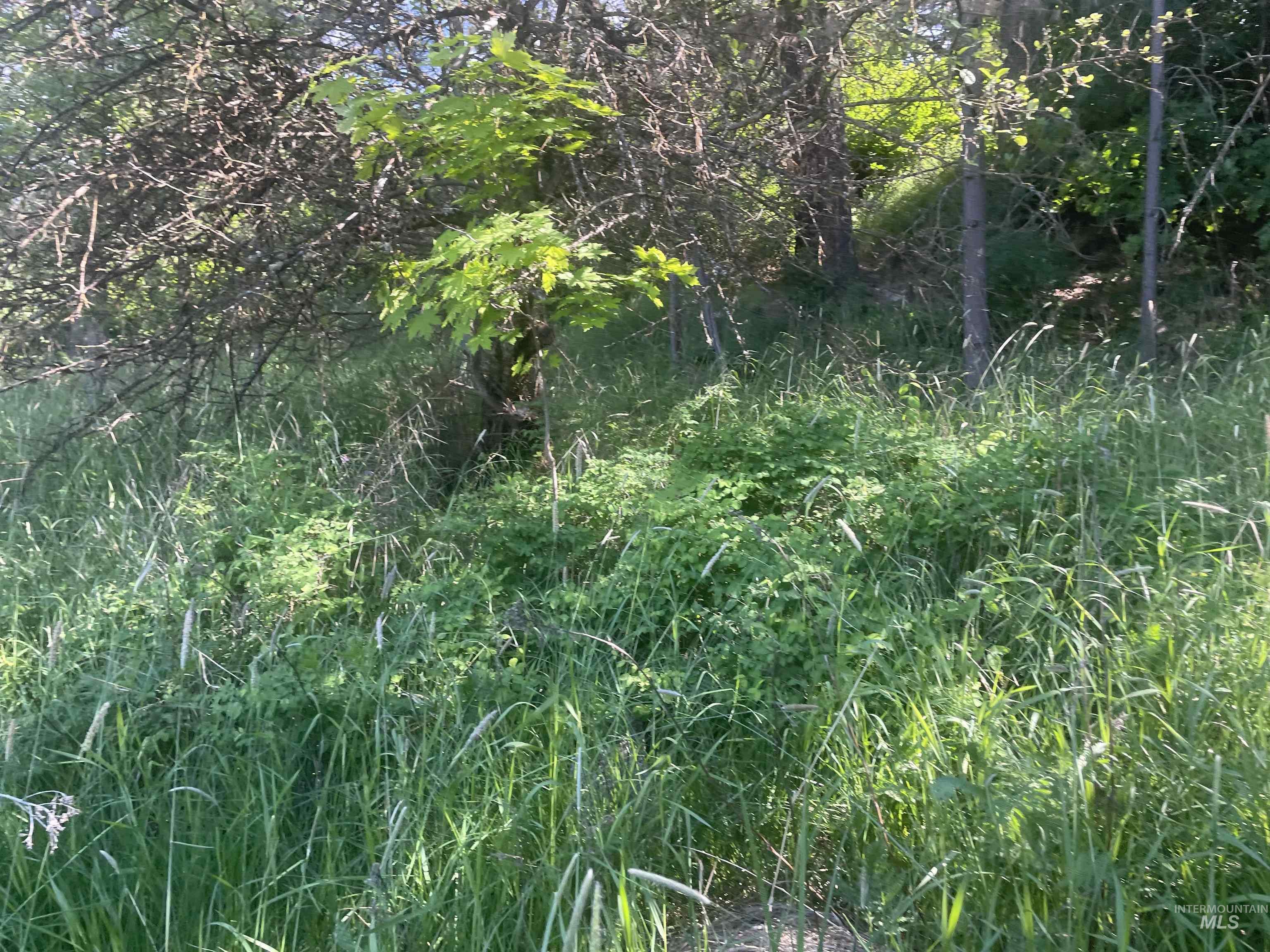 1221 Shady Lane Property Photo 6