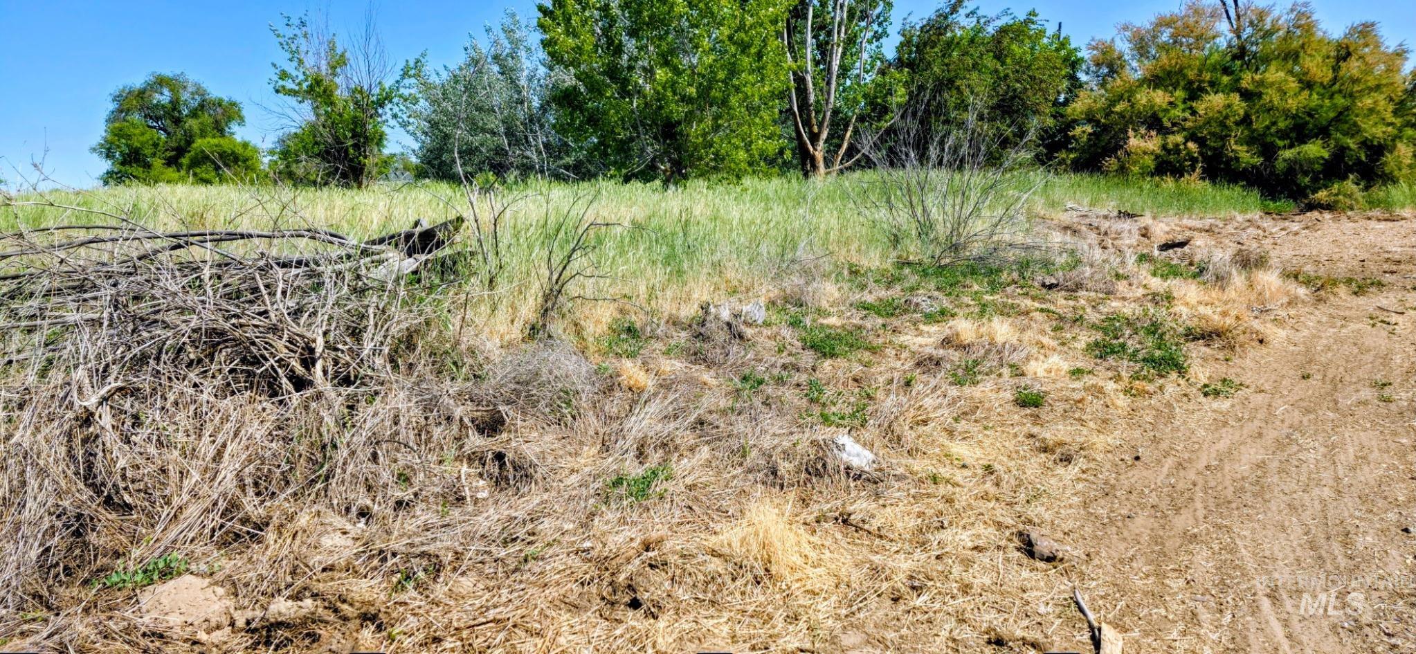32254 Ada Ln Property Photo 7