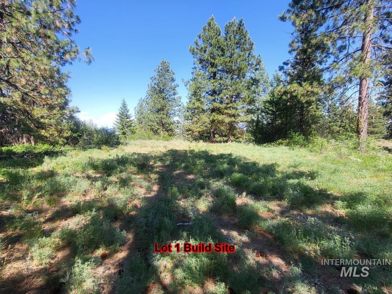 Lots 1 & 2 Wilderness Ridge Rd Property Photo 16
