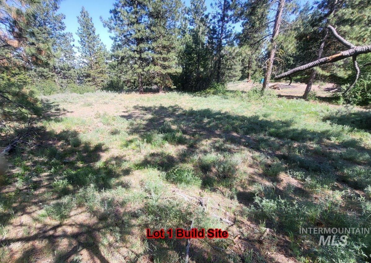 Lots 1 & 2 Wilderness Ridge Rd Property Photo 18