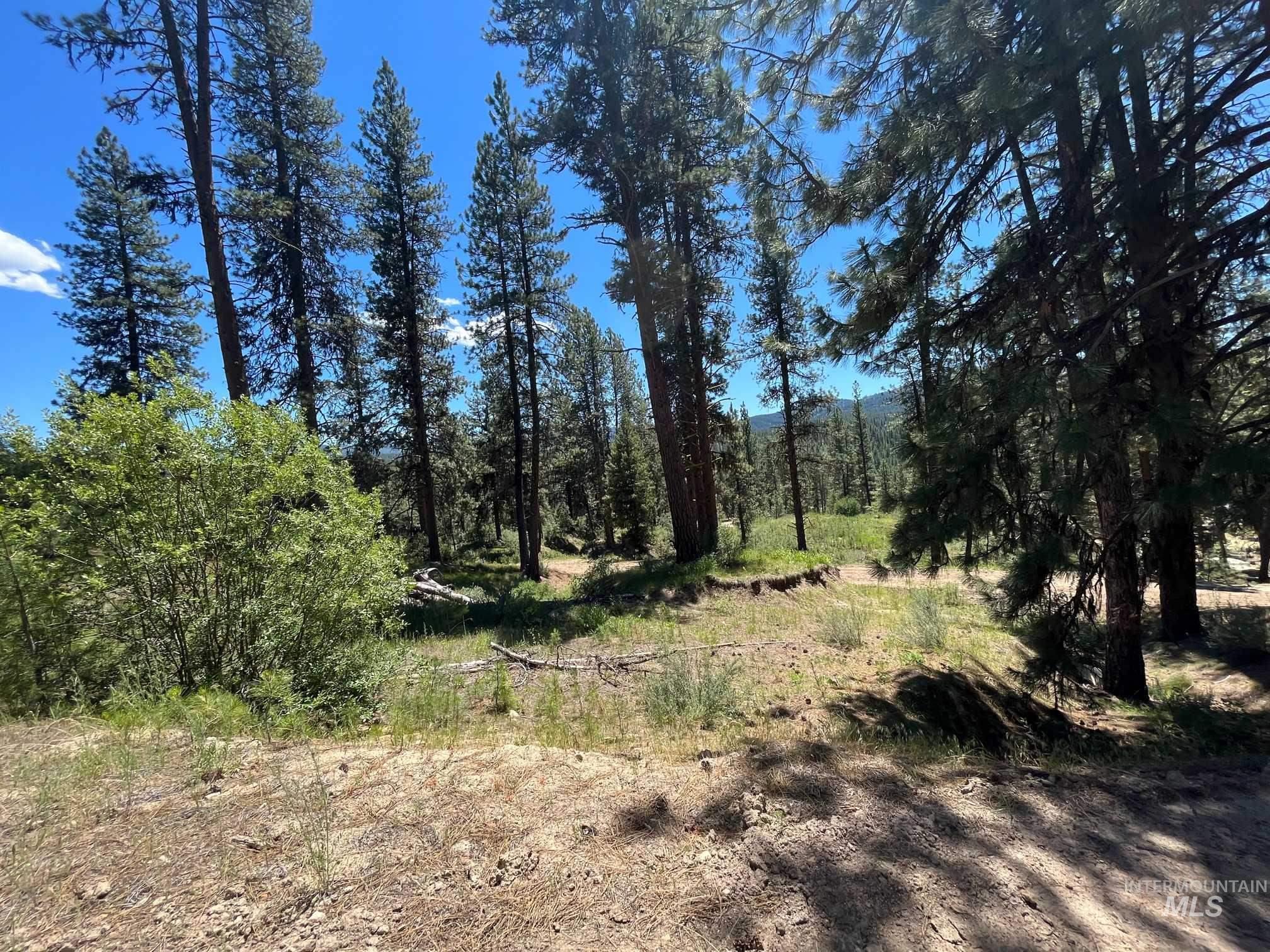 Tbd Four Pines Loop Property Photo 10