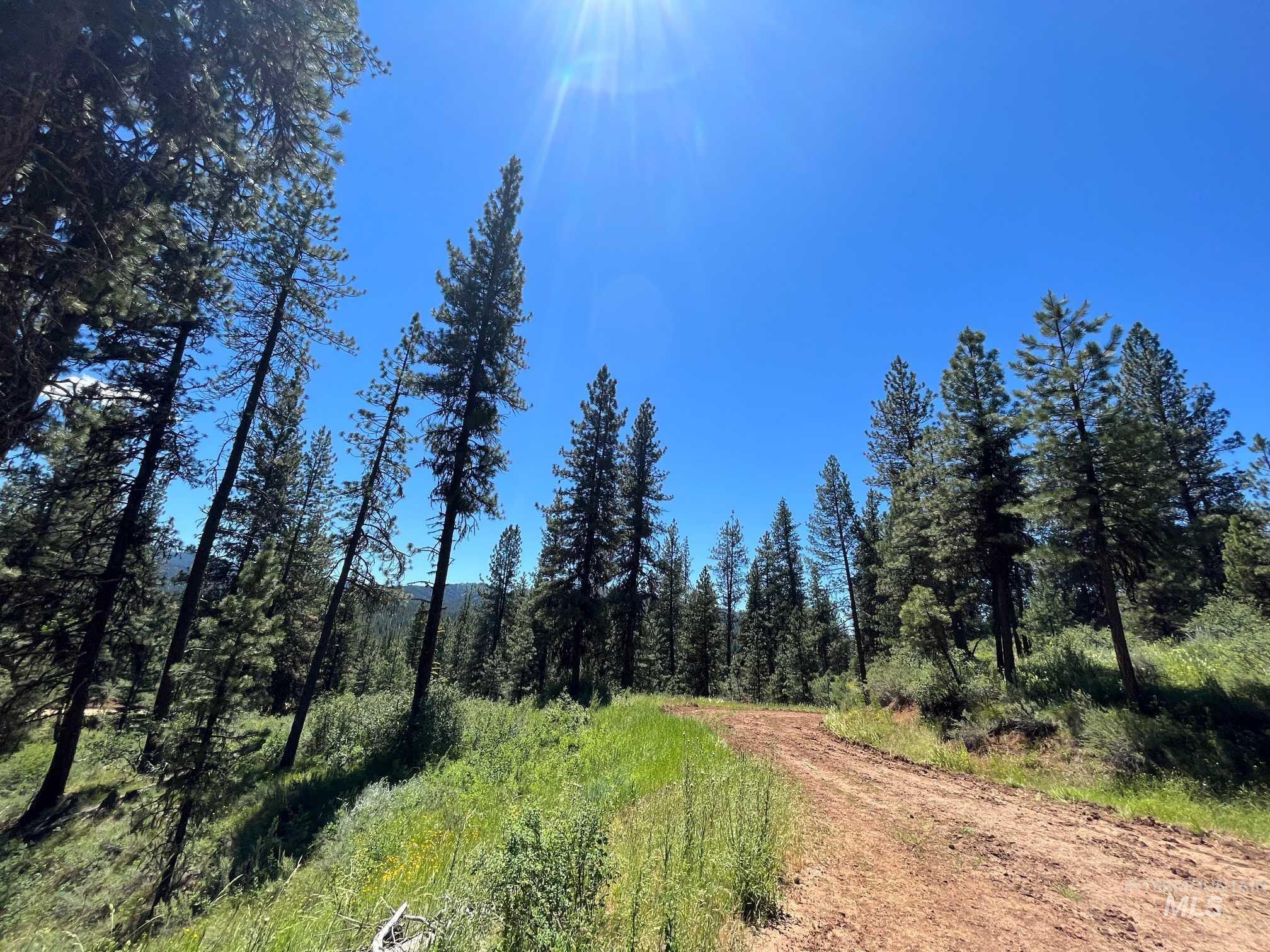 Tbd Four Pines Loop Property Photo 11
