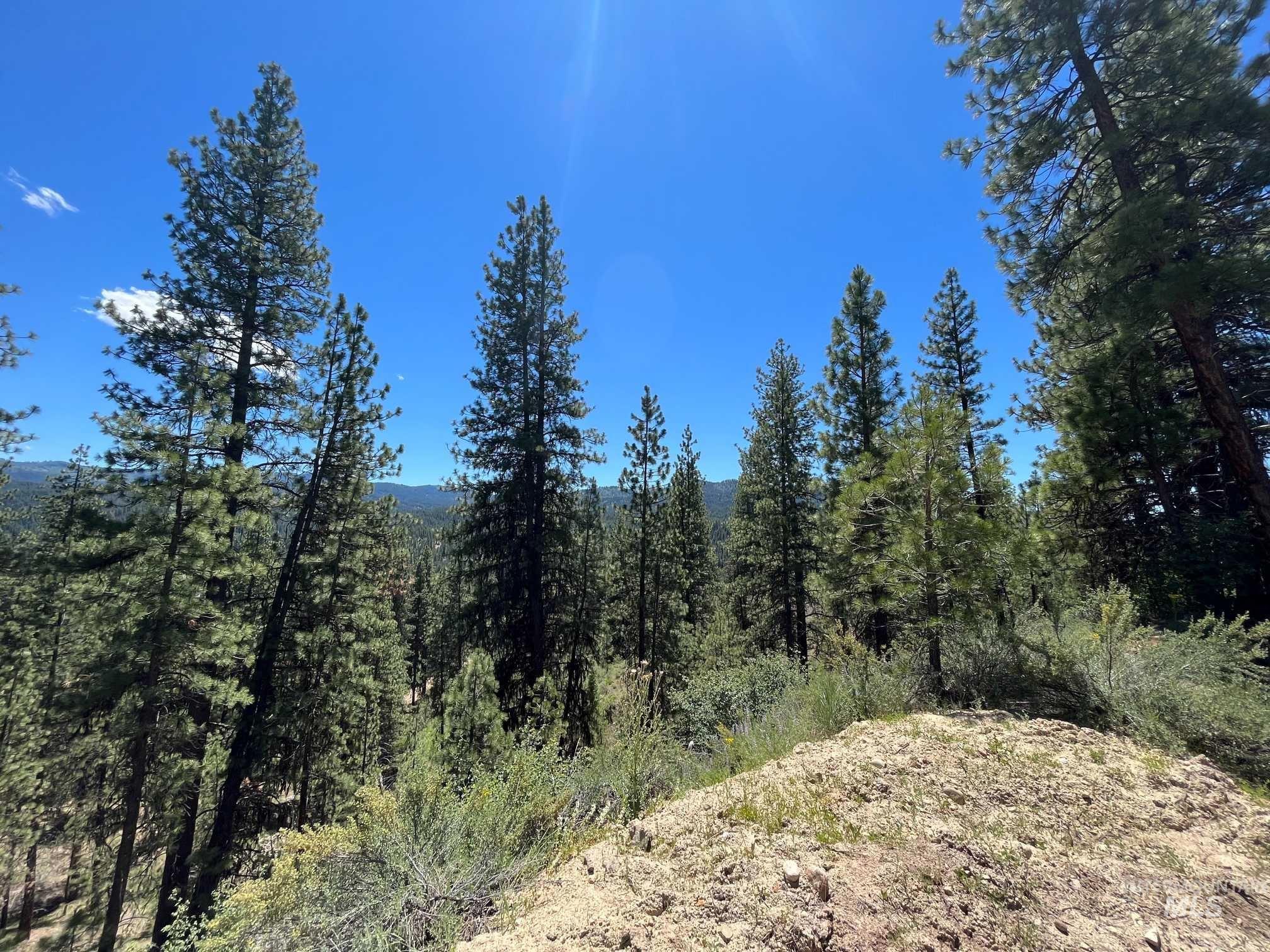 Tbd Four Pines Loop Property Photo 16