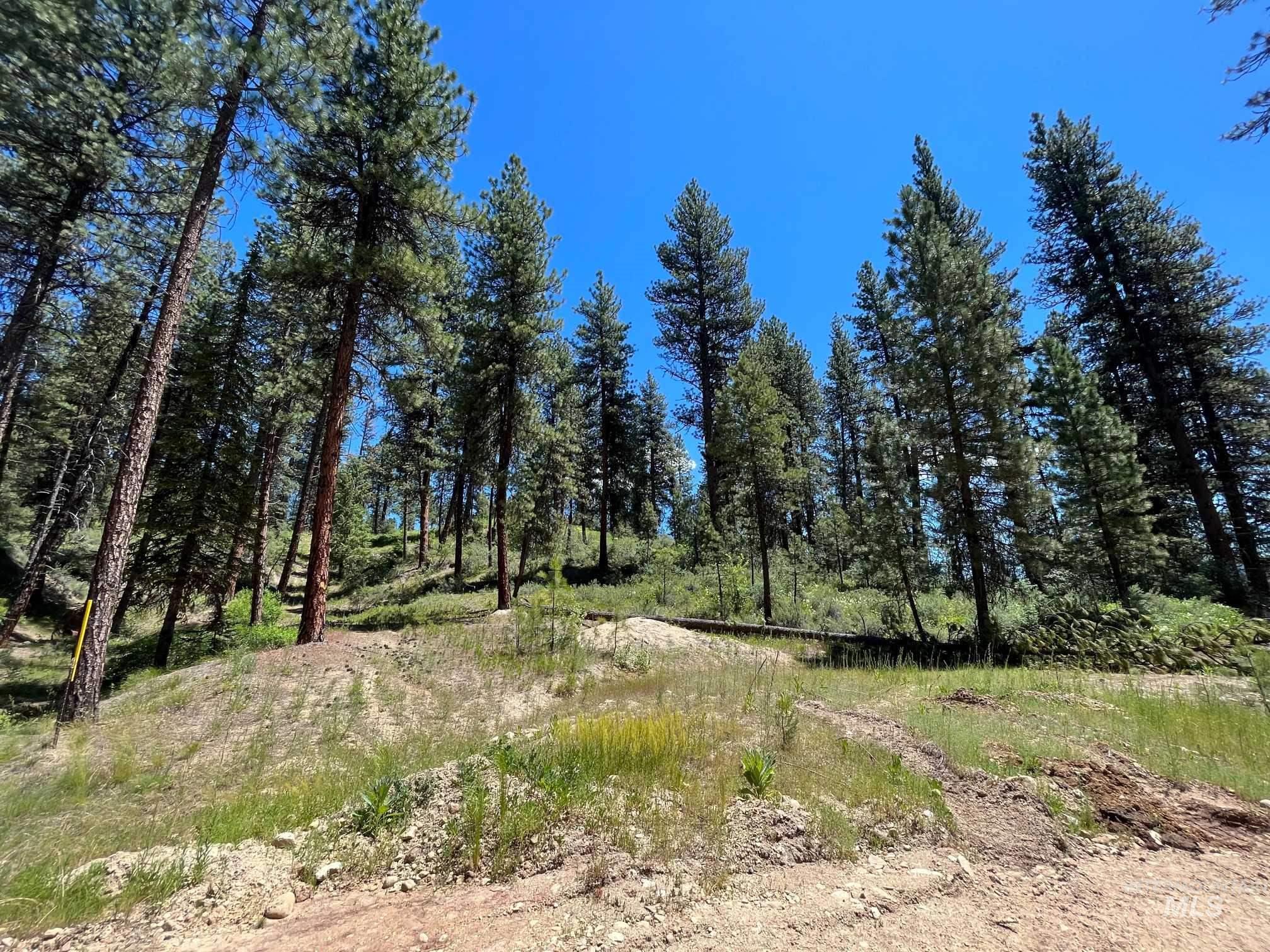 Tbd Four Pines Loop Property Photo 17