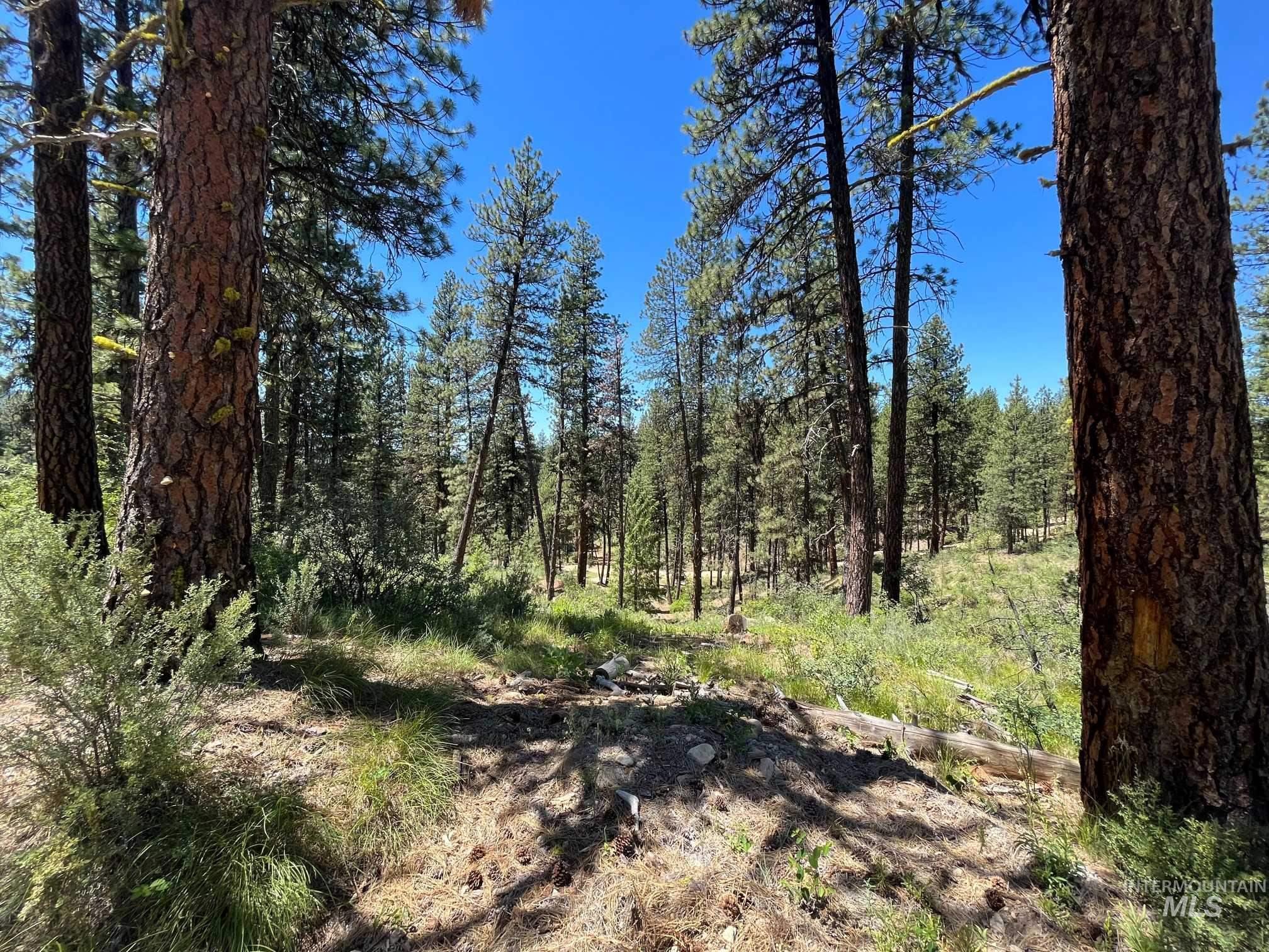Tbd Four Pines Loop Property Photo 19