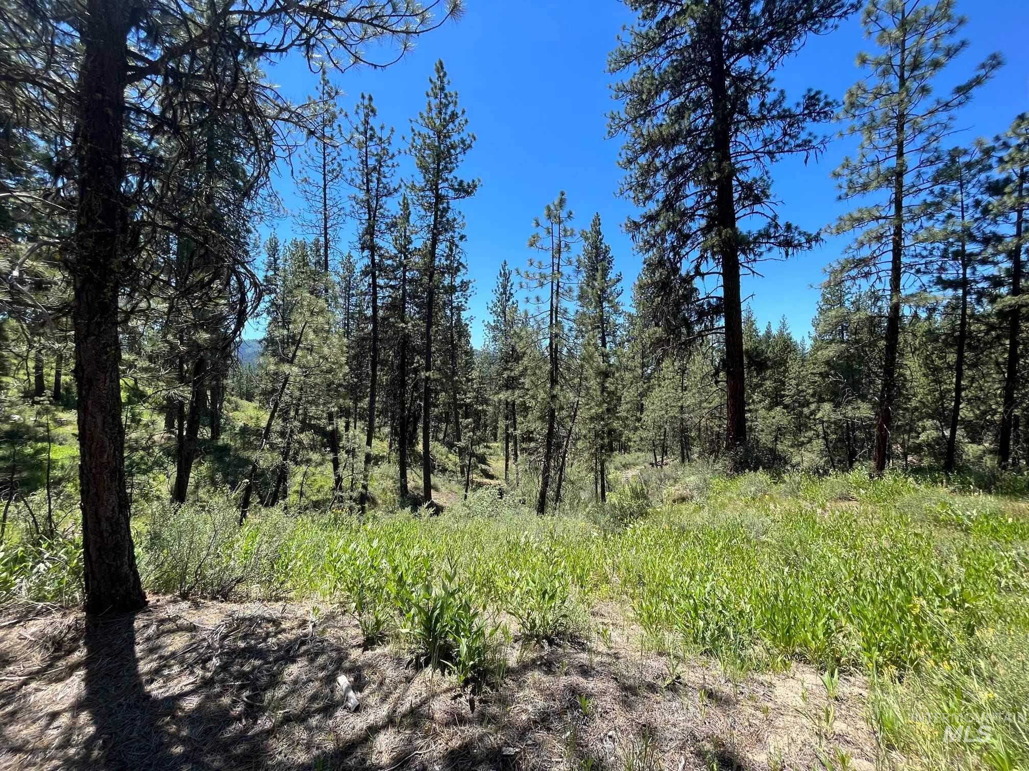 Tbd Four Pines Loop Property Photo 20