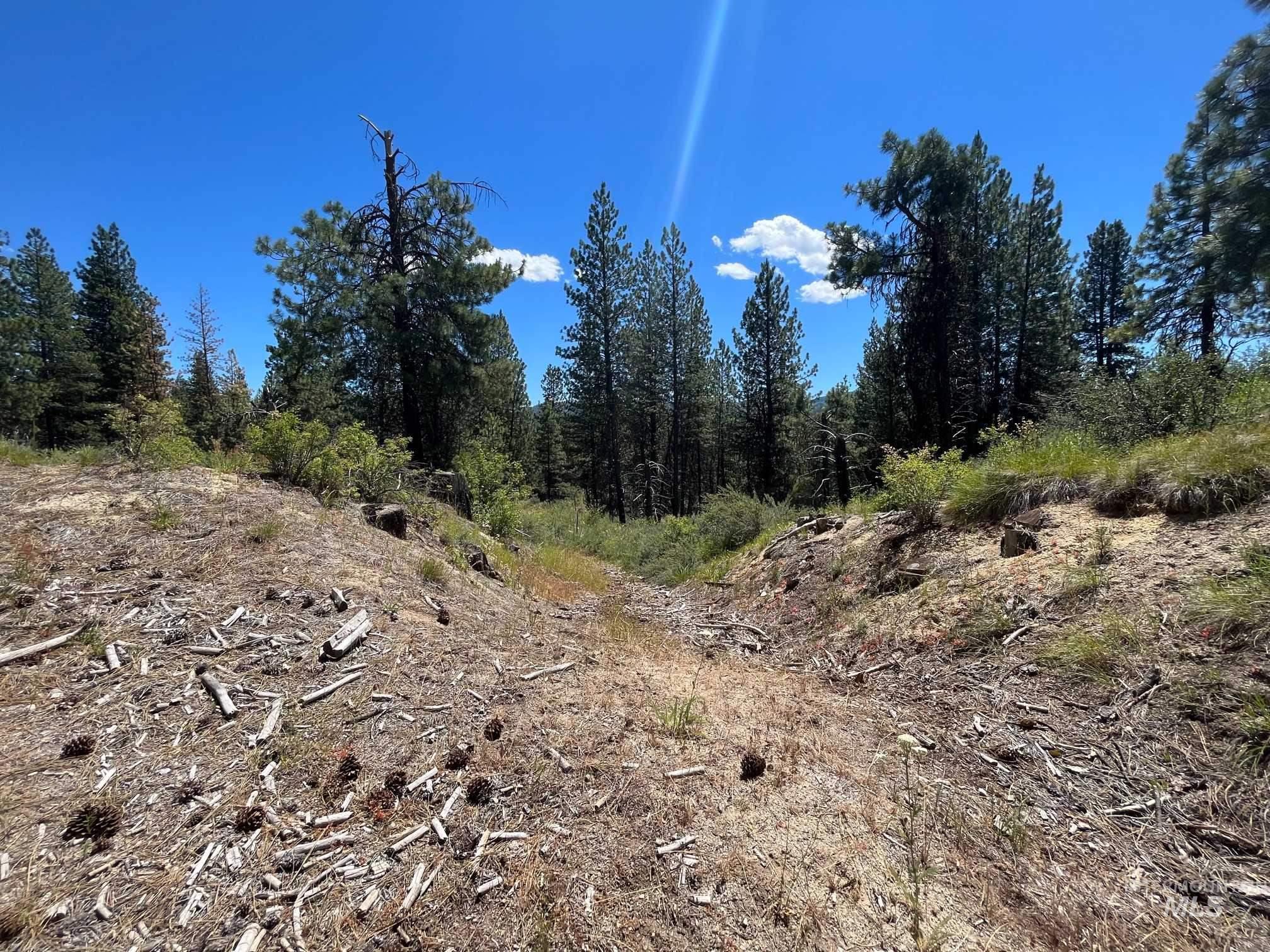 Tbd Four Pines Loop Property Photo 23