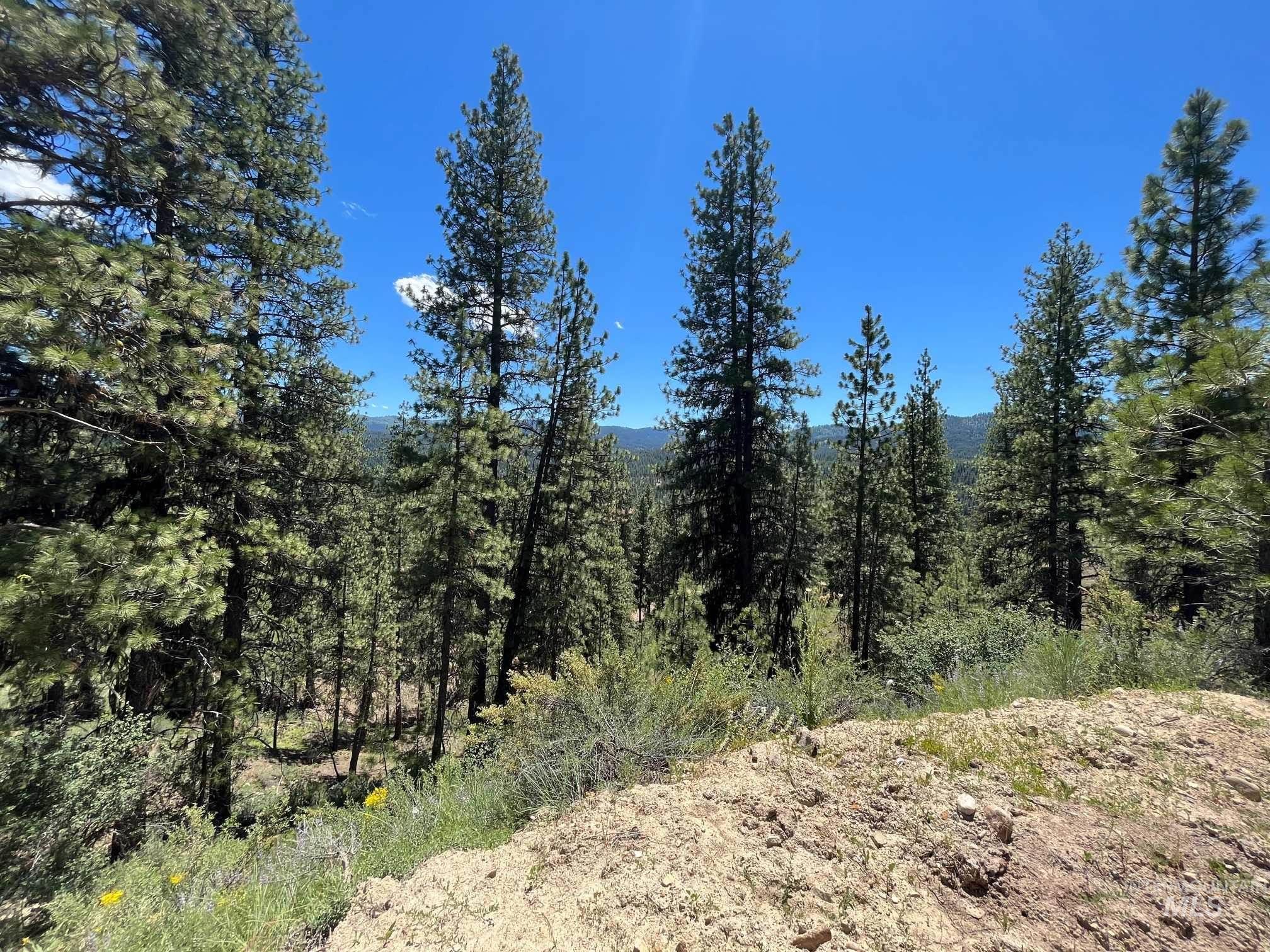 Tbd Four Pines Loop Property Photo 24