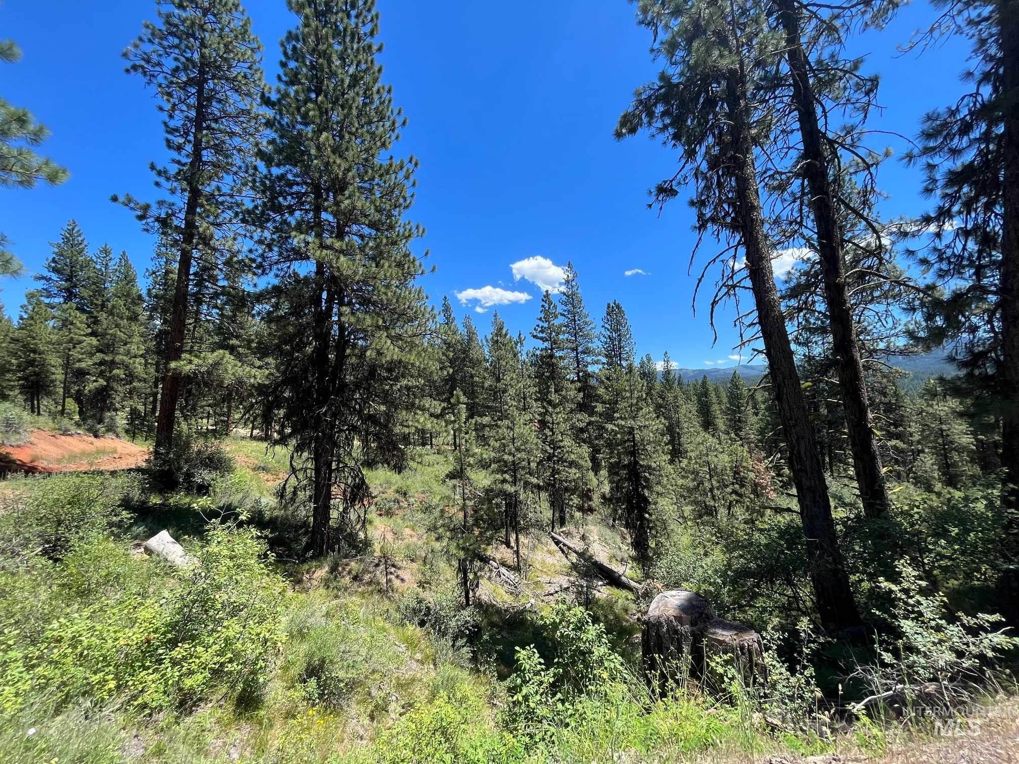 Tbd Four Pines Loop Property Photo 25