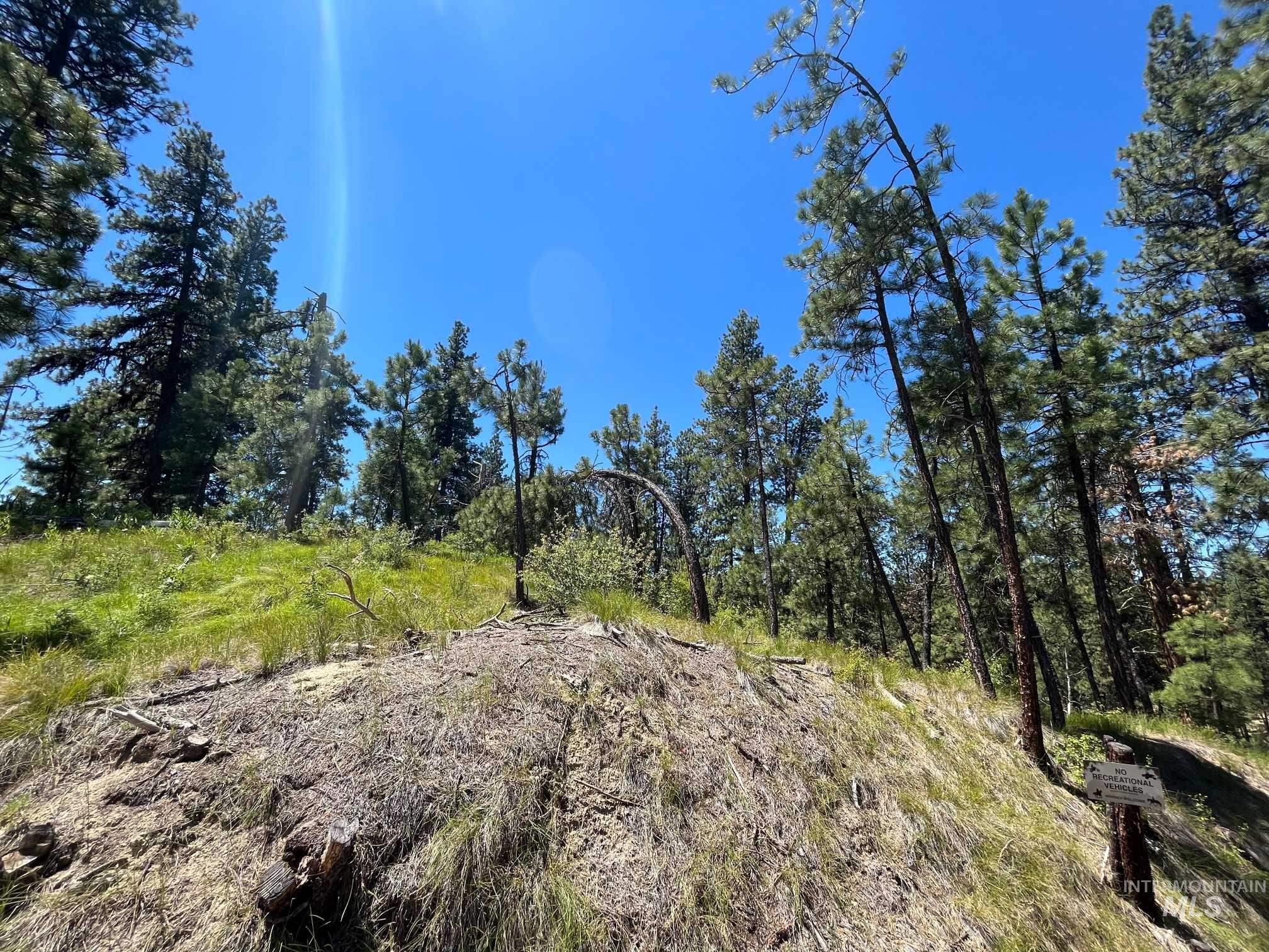 Tbd Four Pines Loop Property Photo 30