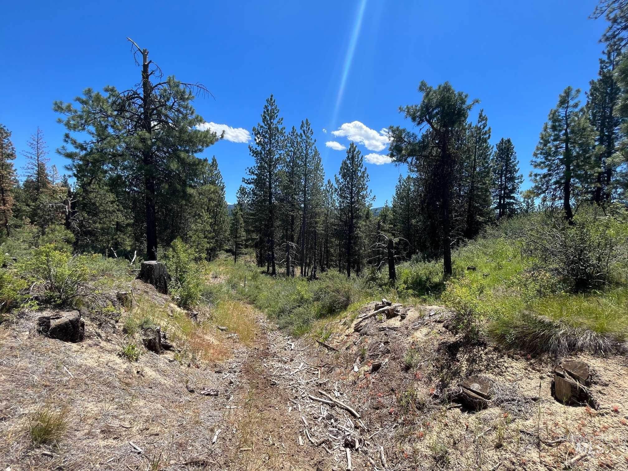 Tbd Four Pines Loop Property Photo 31