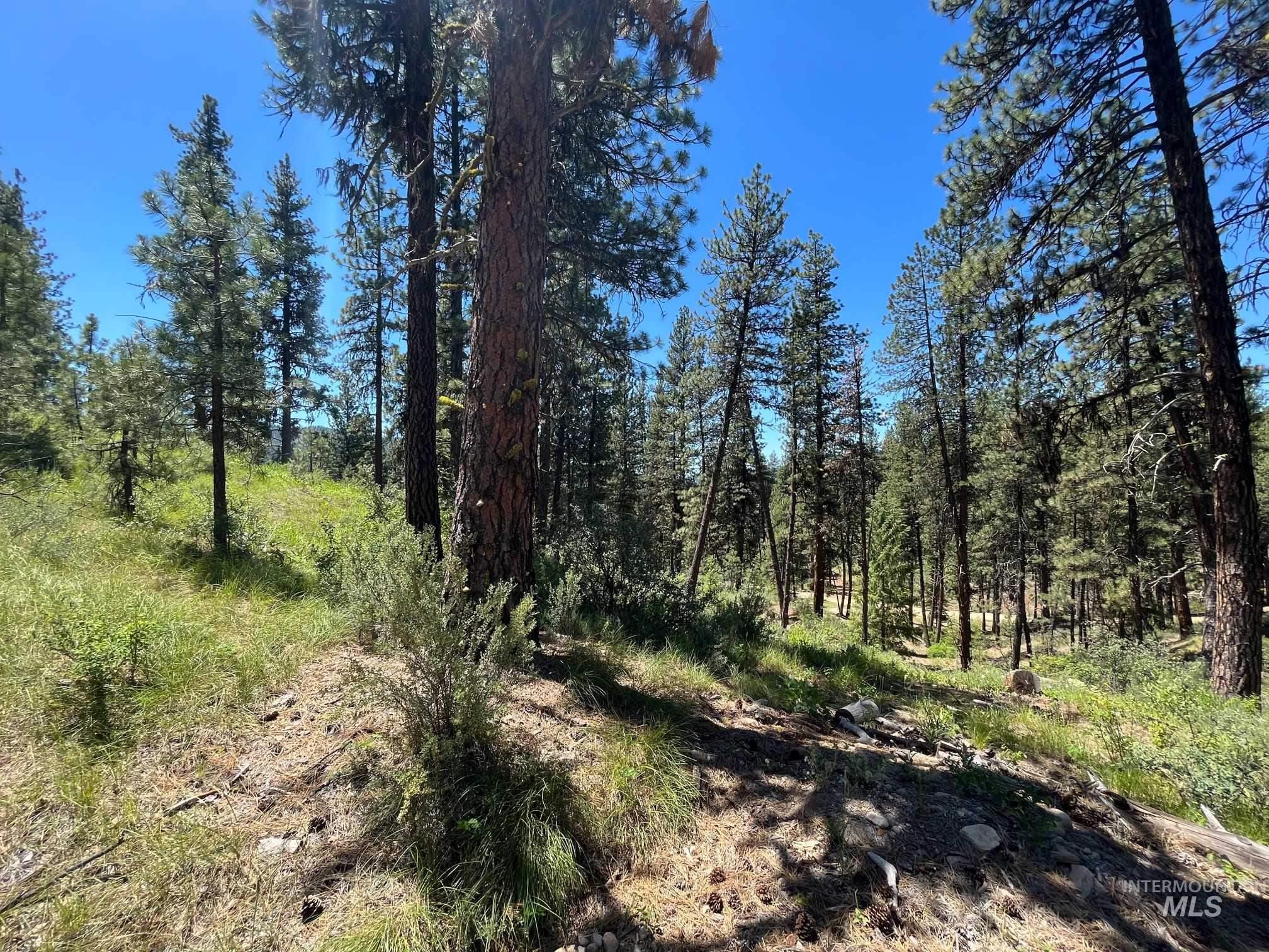 Tbd Four Pines Loop Property Photo 32