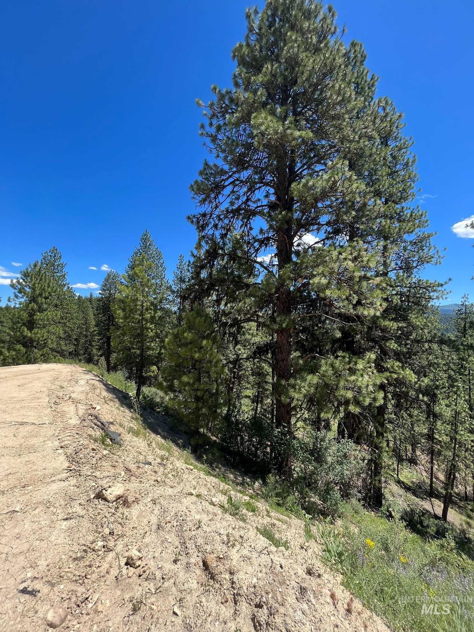 Tbd Four Pines Loop Property Photo 33