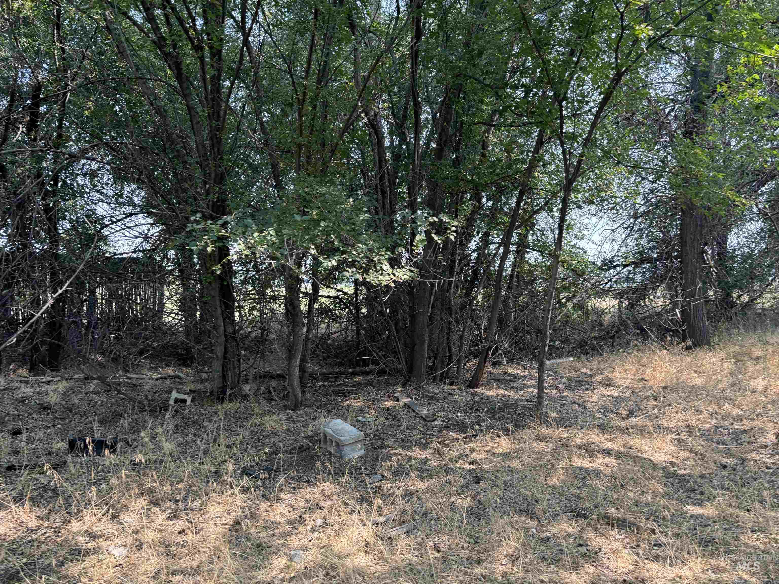 300 E 3rd Property Photo 1