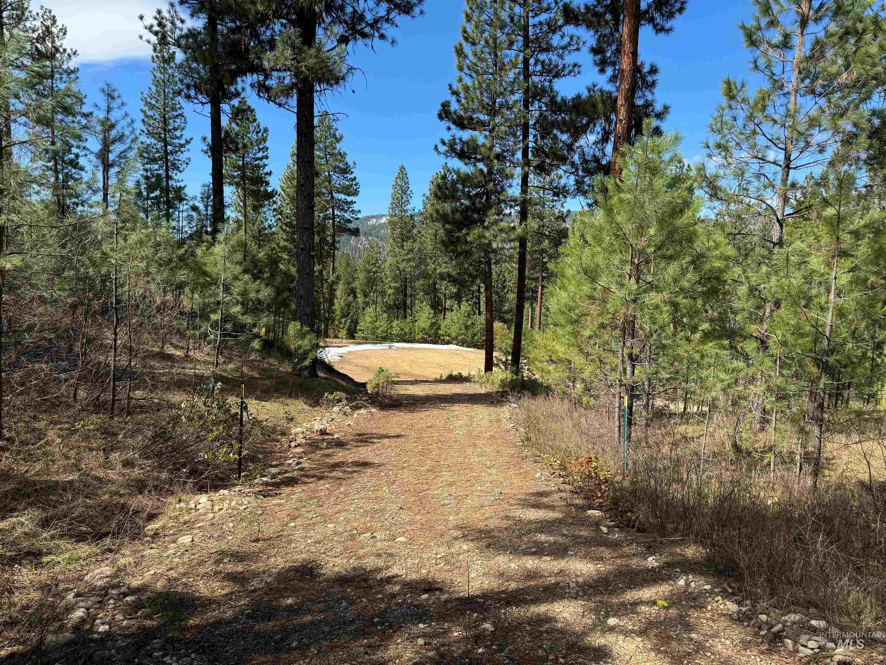 Lot 24 Block 1 Elk Run Property Photo 6