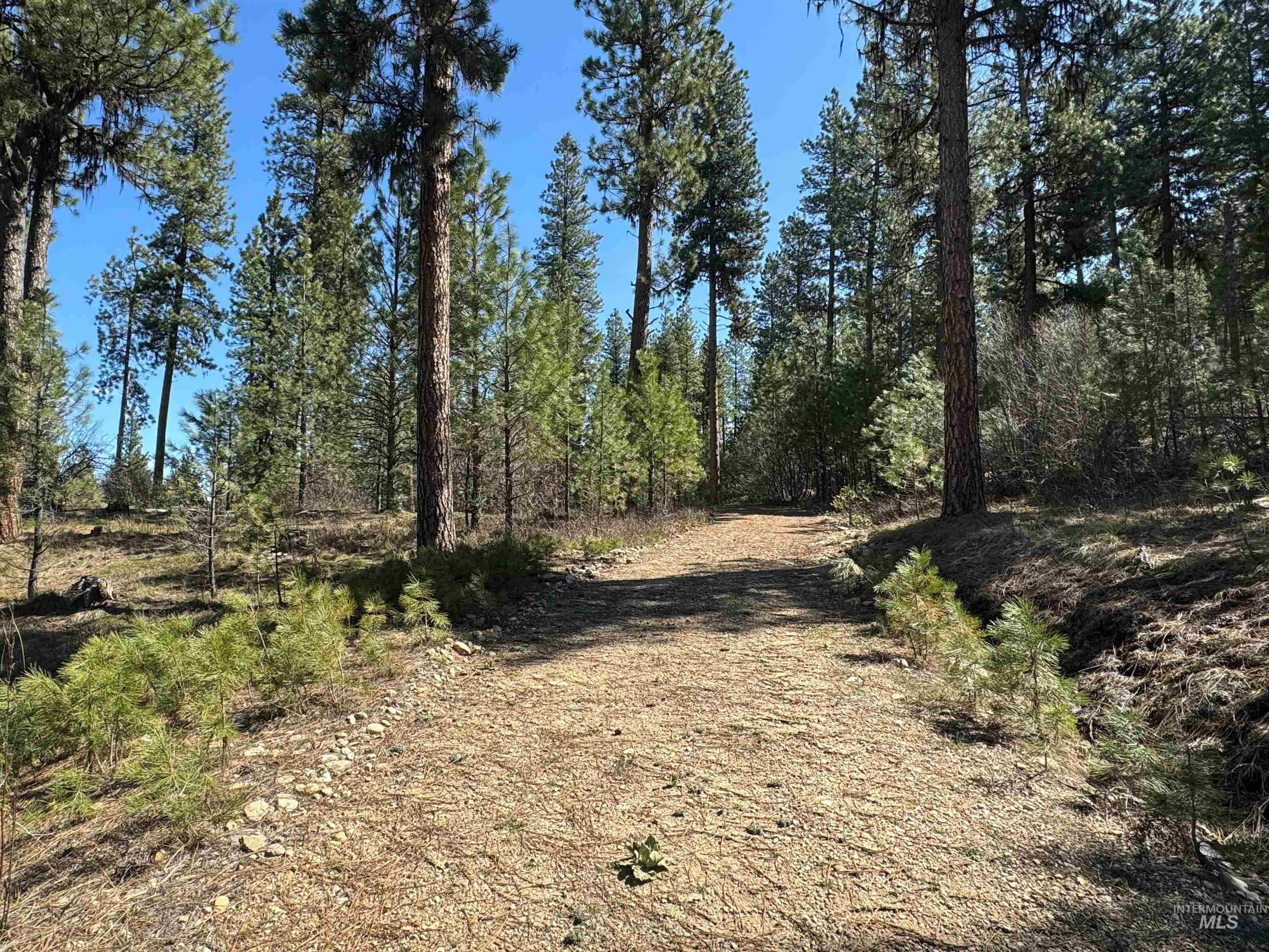 Lot 24 Block 1 Elk Run Property Photo 7