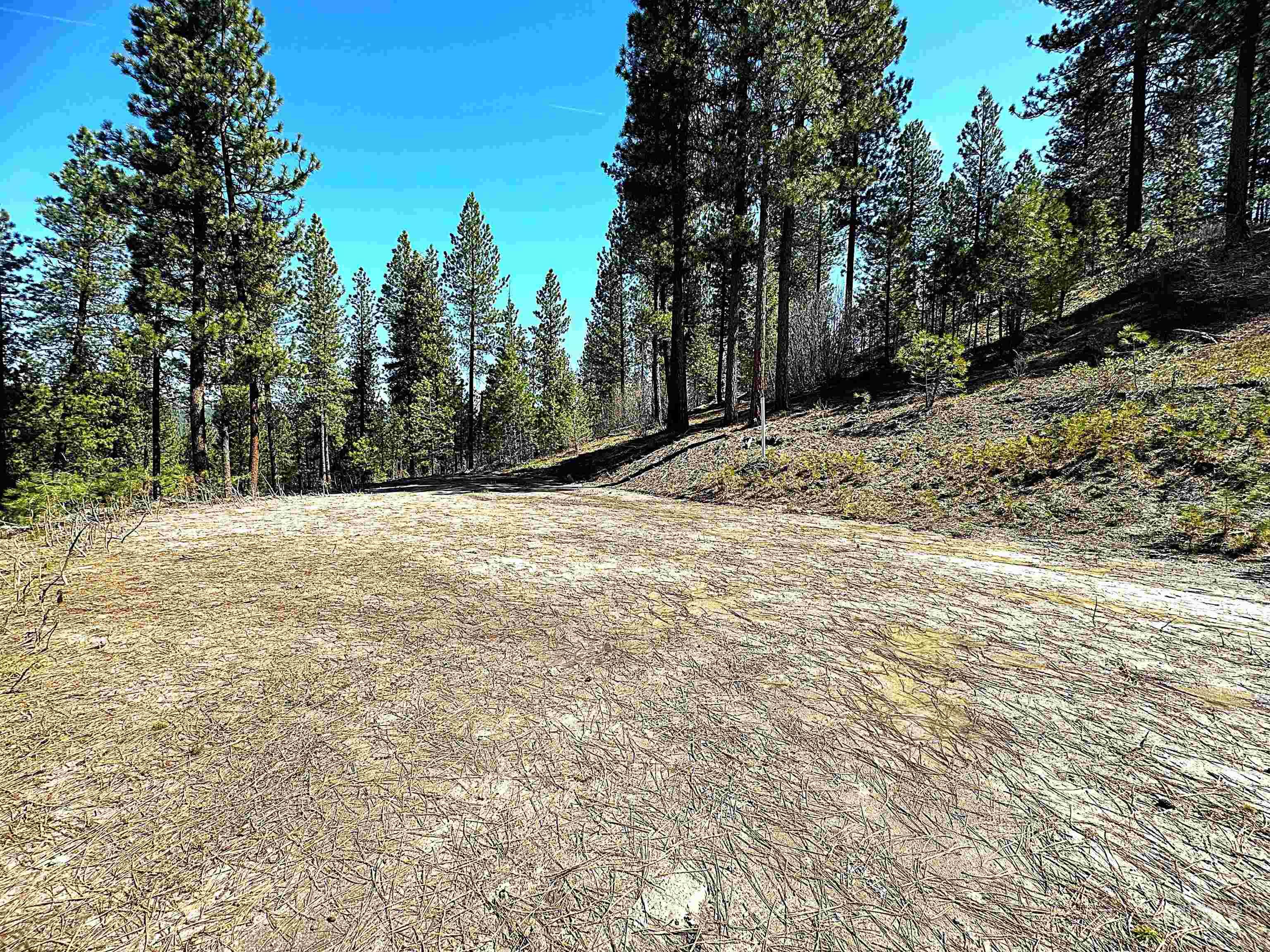 Lot 24 Block 1 Elk Run Property Photo 11