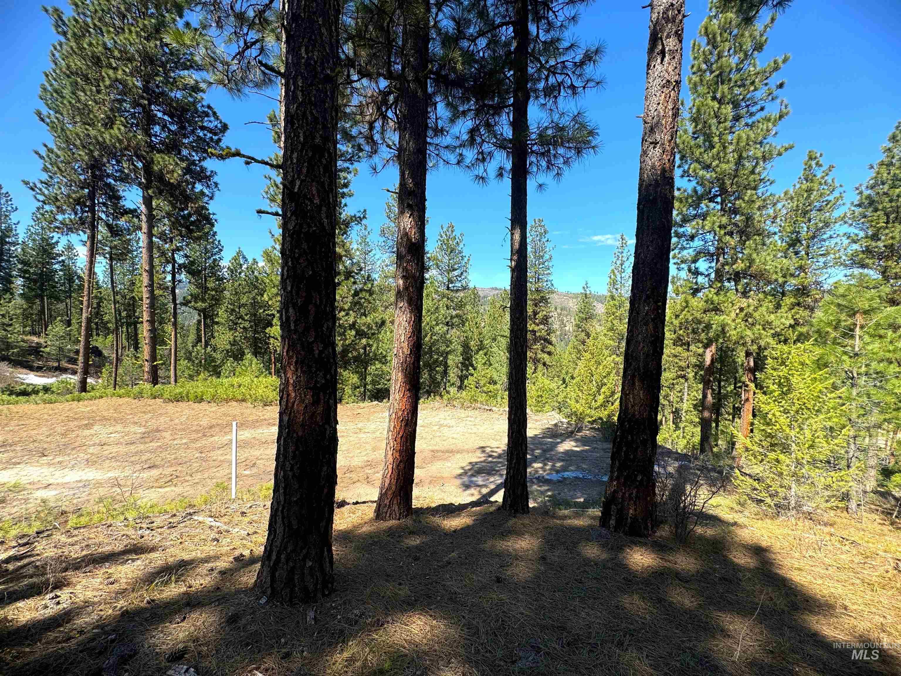 Lot 24 Block 1 Elk Run Property Photo 14