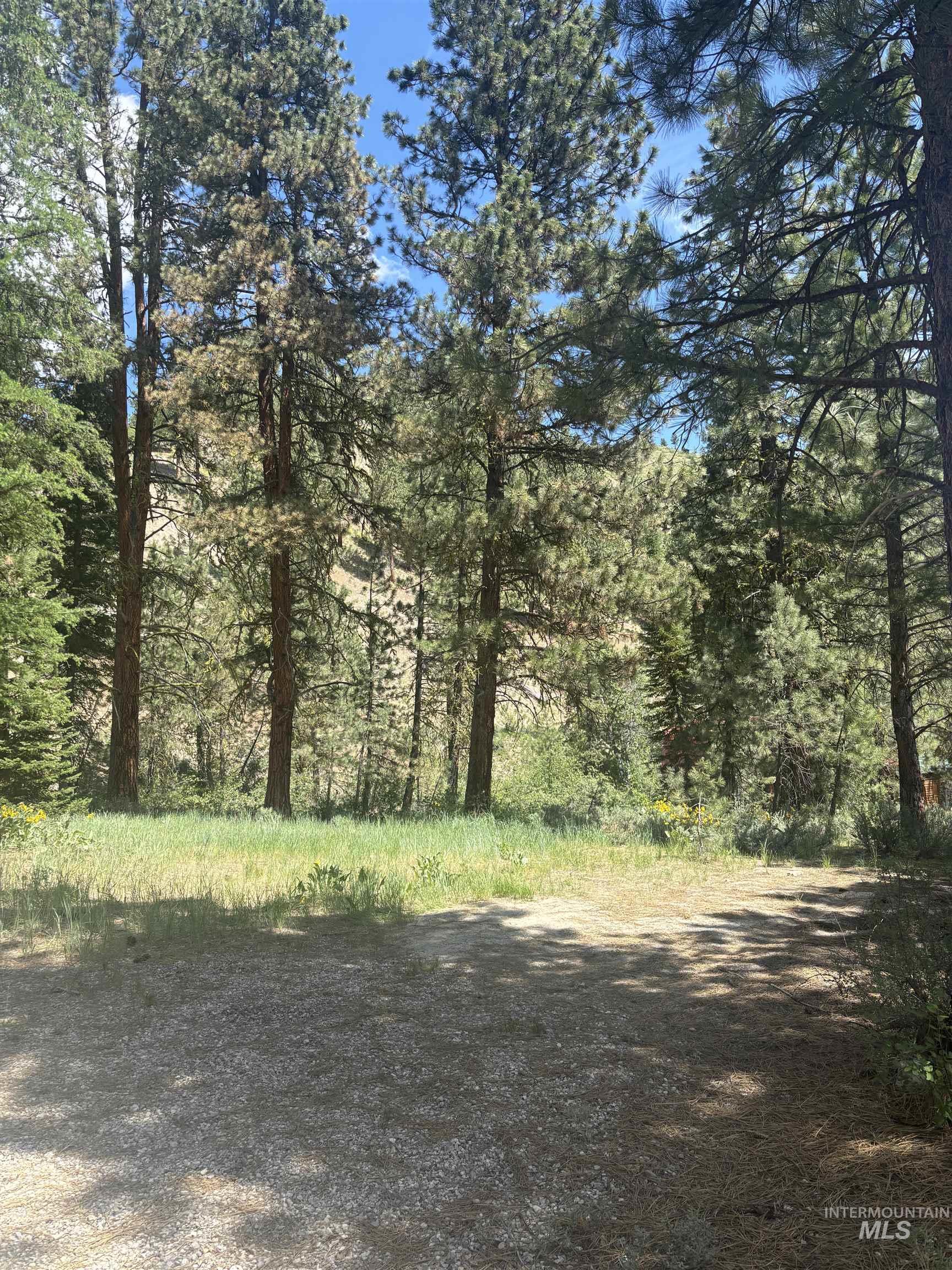 Tbd N Pine-fv Rd Property Photo 1