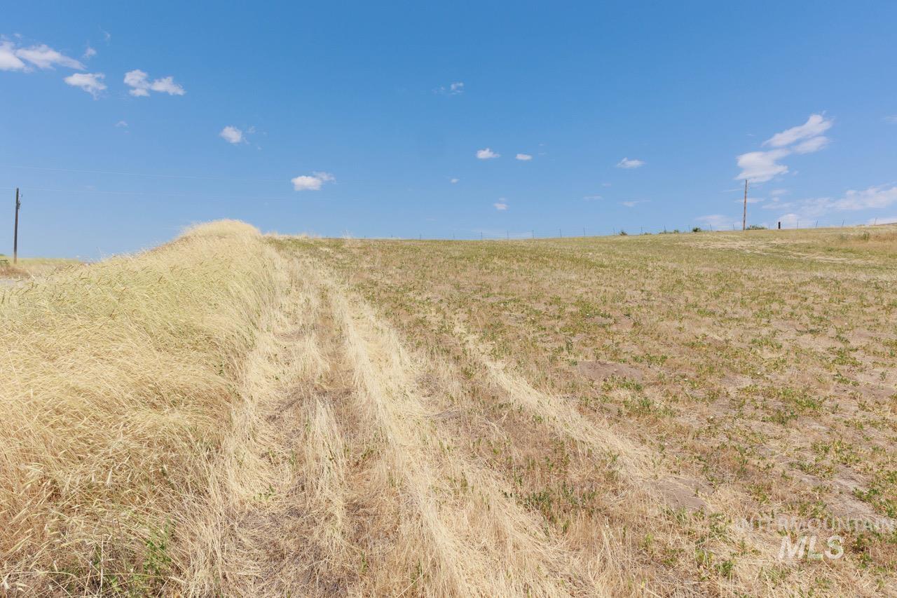 Tbd Loafer Ln Property Photo 16