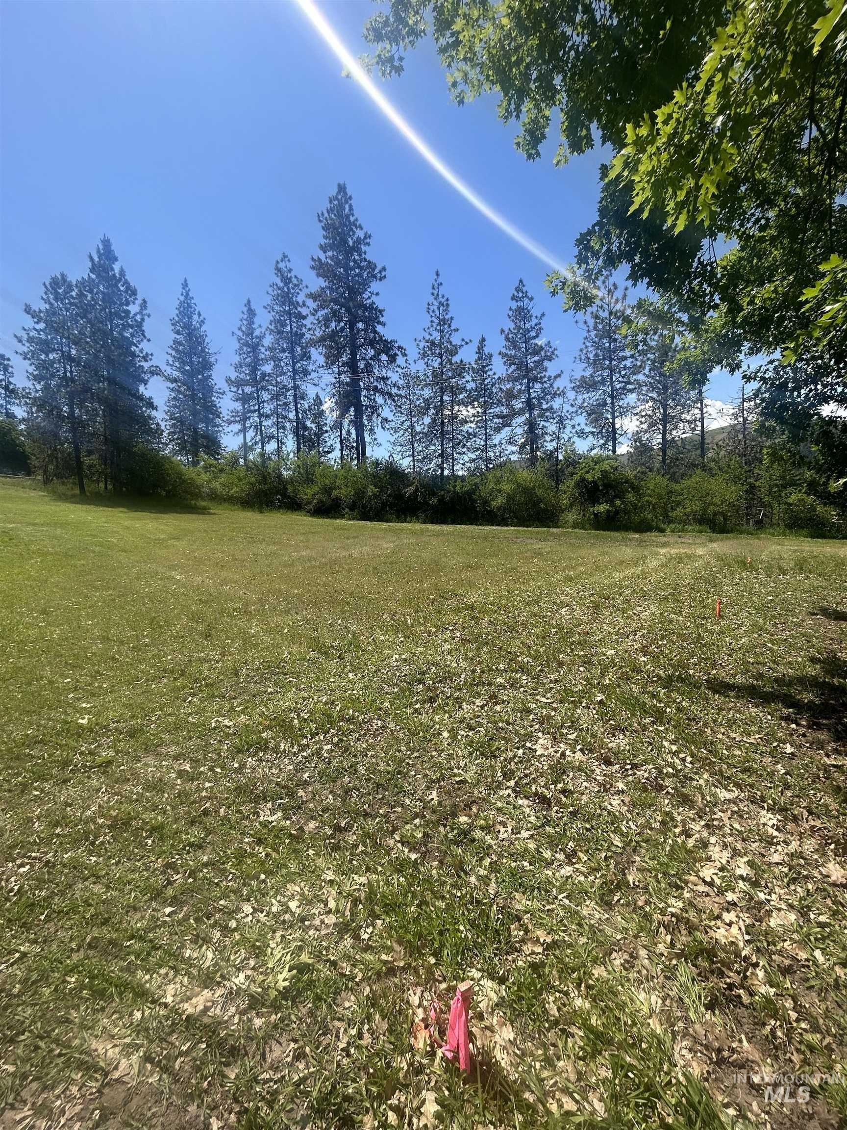 Tbd Hwy 12 Lot 3 Property Photo 5