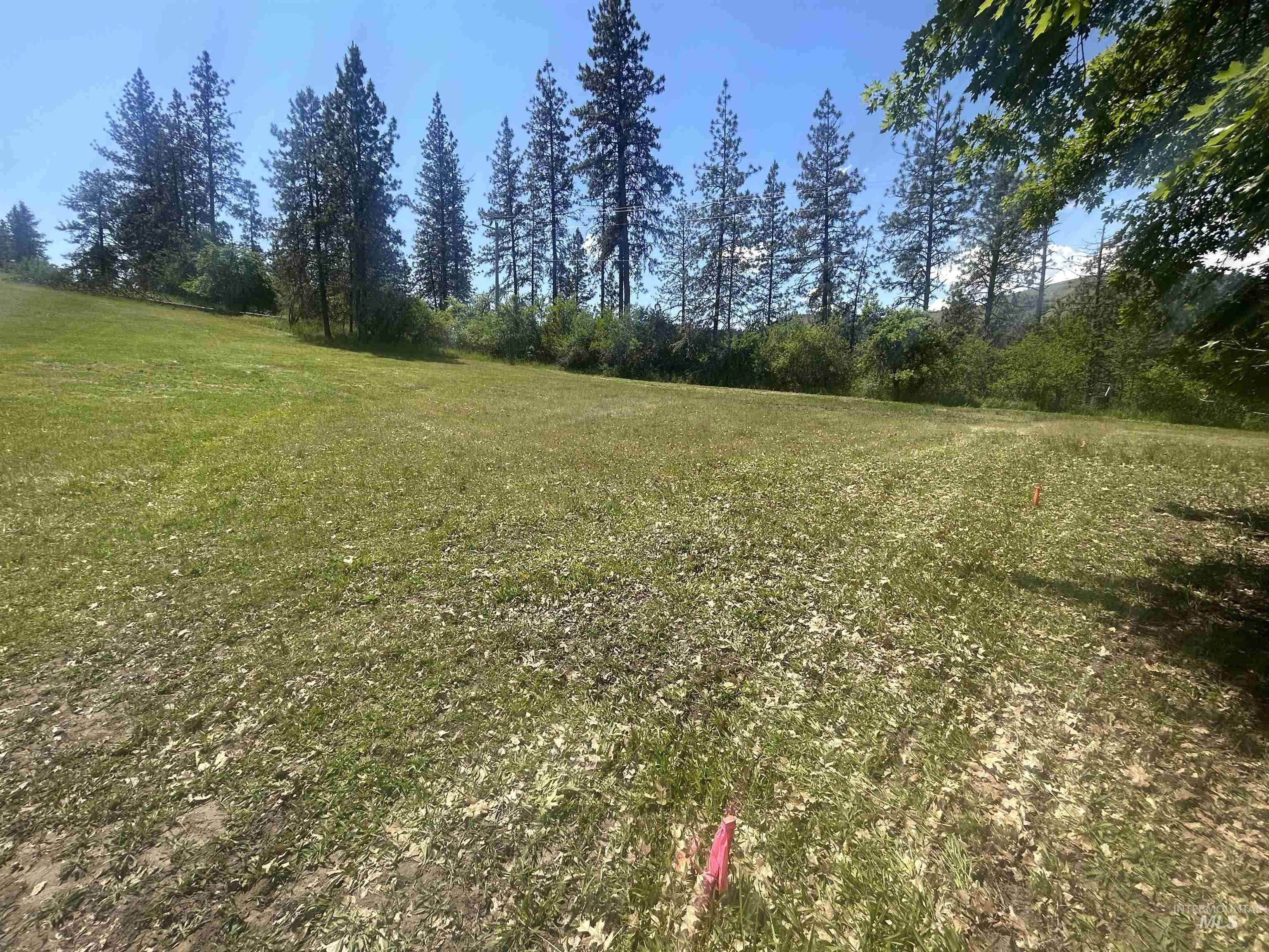 Tbd Hwy 12 Lot 3 Property Photo 6