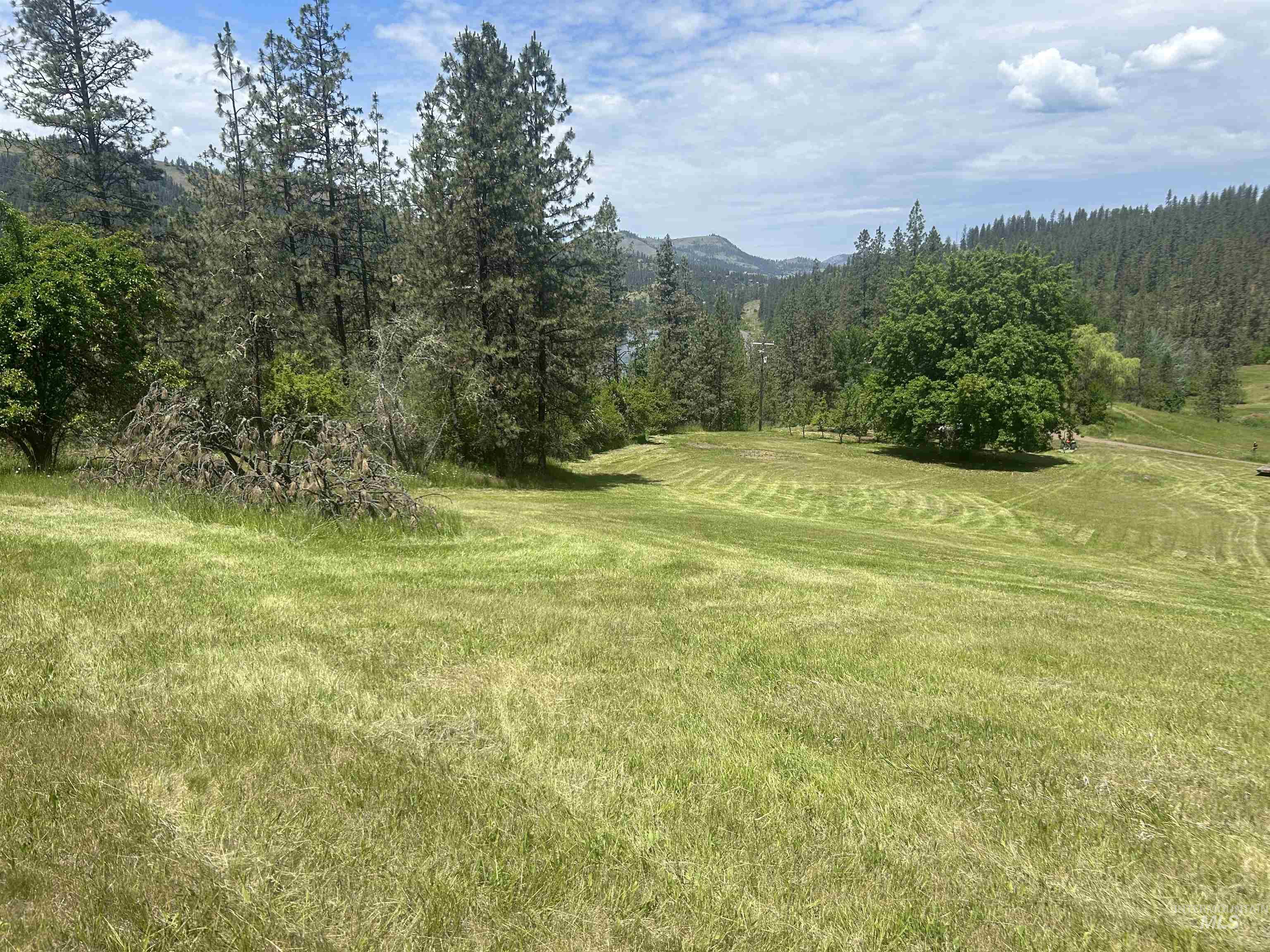 Tbd Hwy 12 Lot 3 Property Photo 9