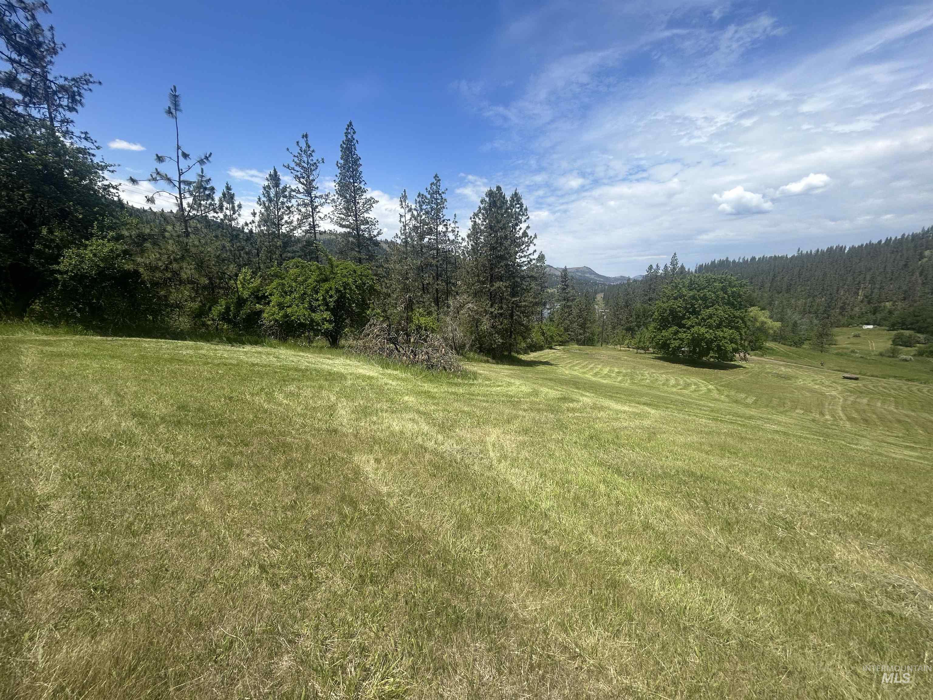 Tbd Hwy 12 Lot 3 Property Photo 12