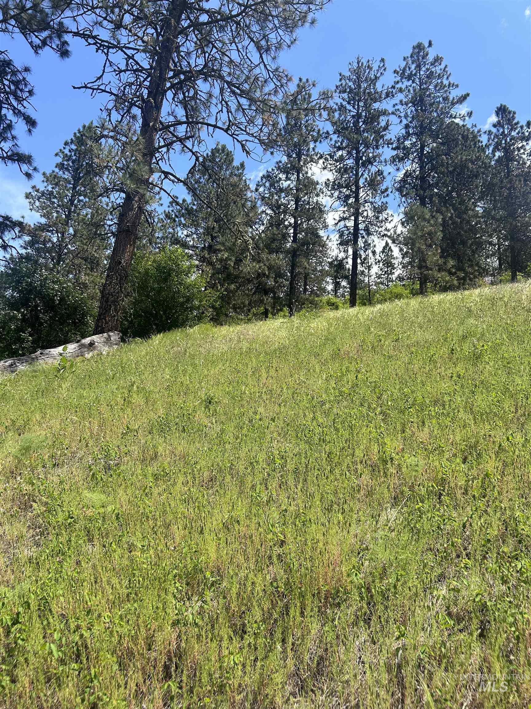 Tbd Hwy 12 Lot 3 Property Photo 15