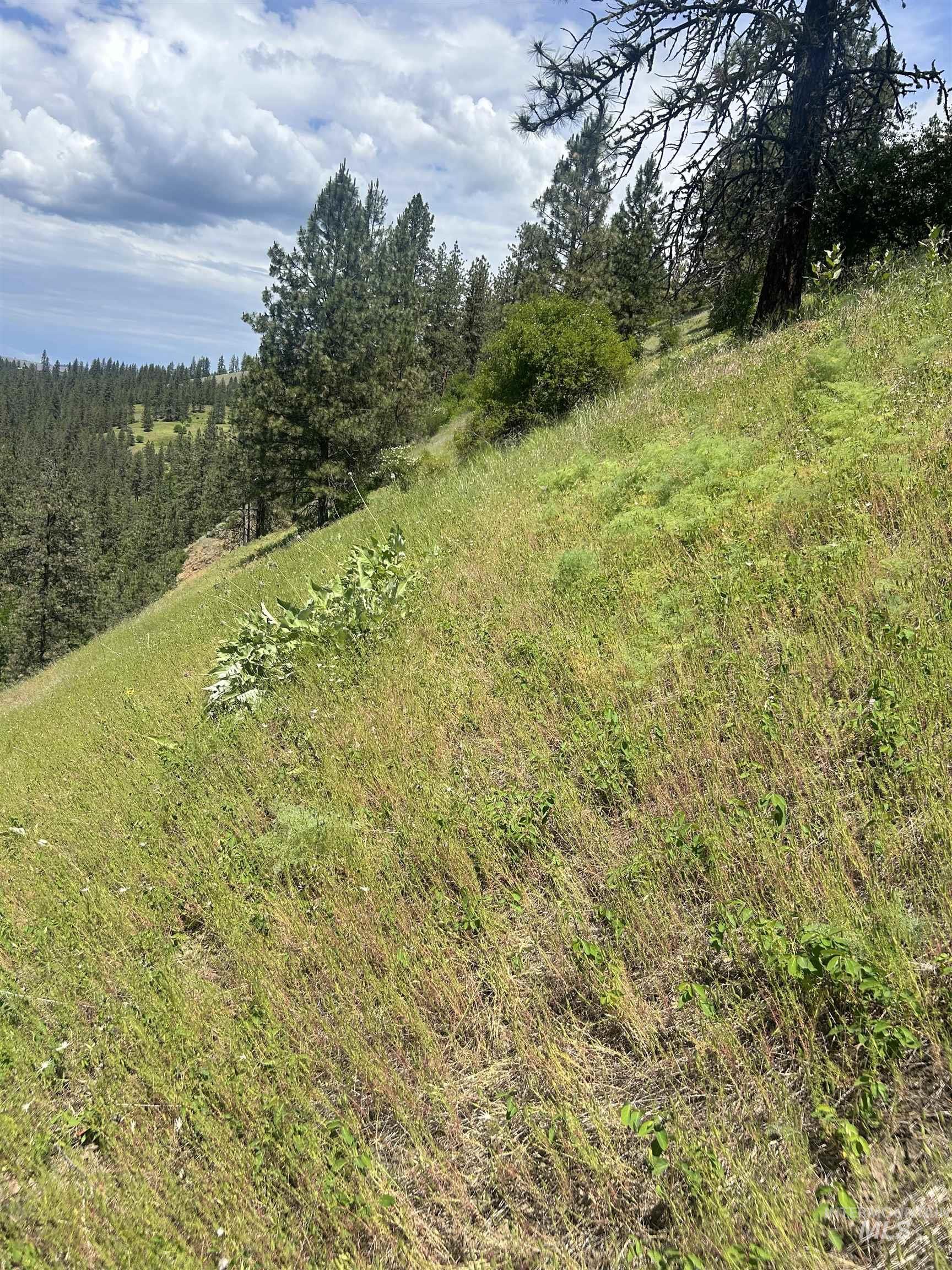 Tbd Hwy 12 Lot 3 Property Photo 16