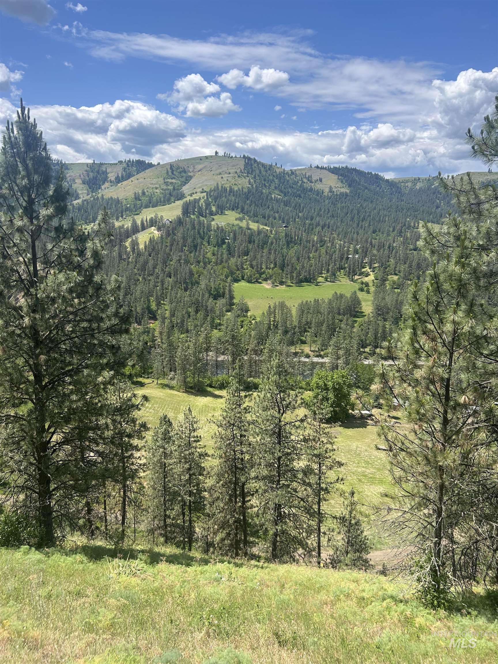 Tbd Hwy 12 Lot 3 Property Photo 17
